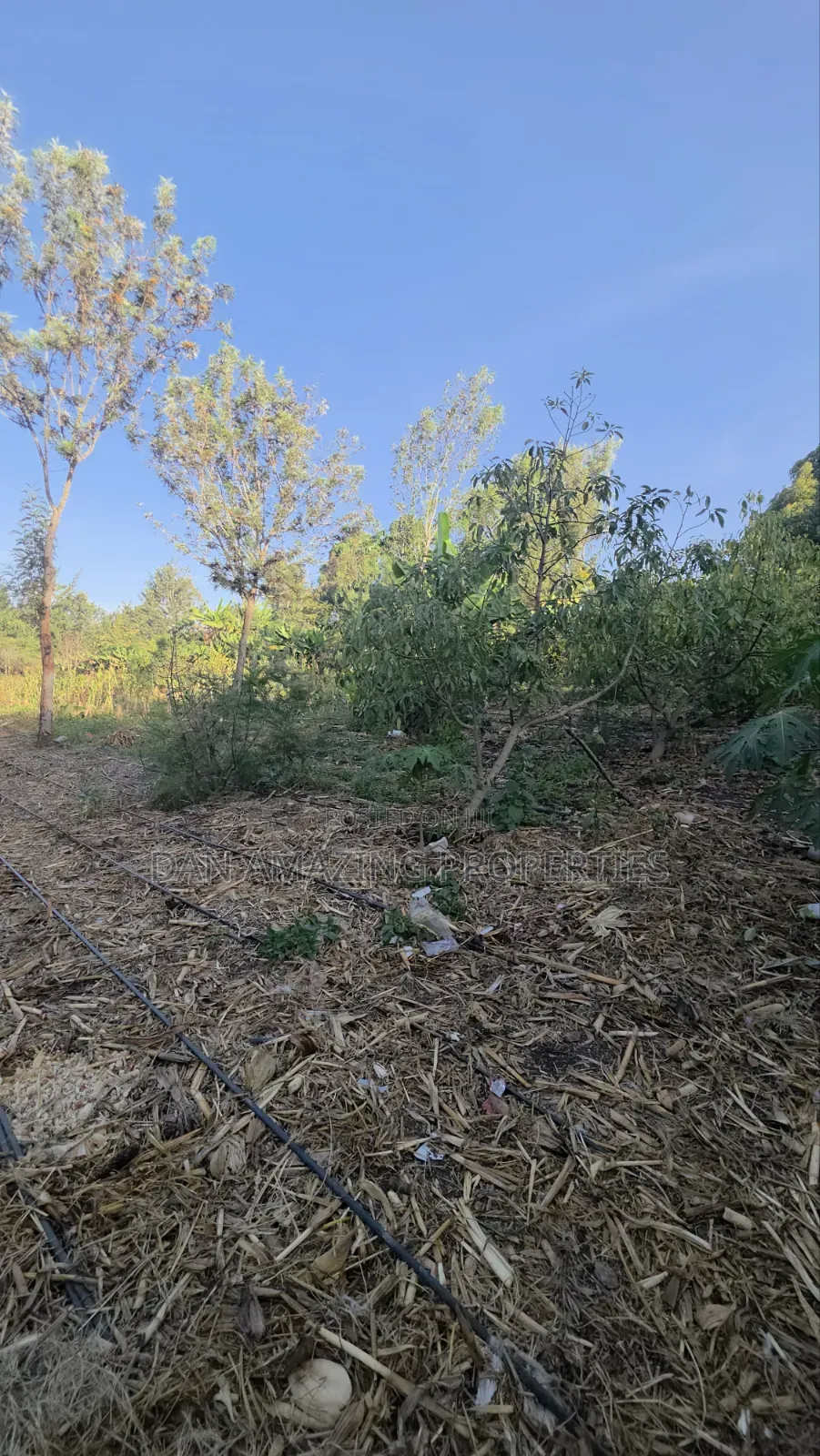 2 Acres Ngong Olkeri With Two Borehole for Sale as Block in Ol Keri