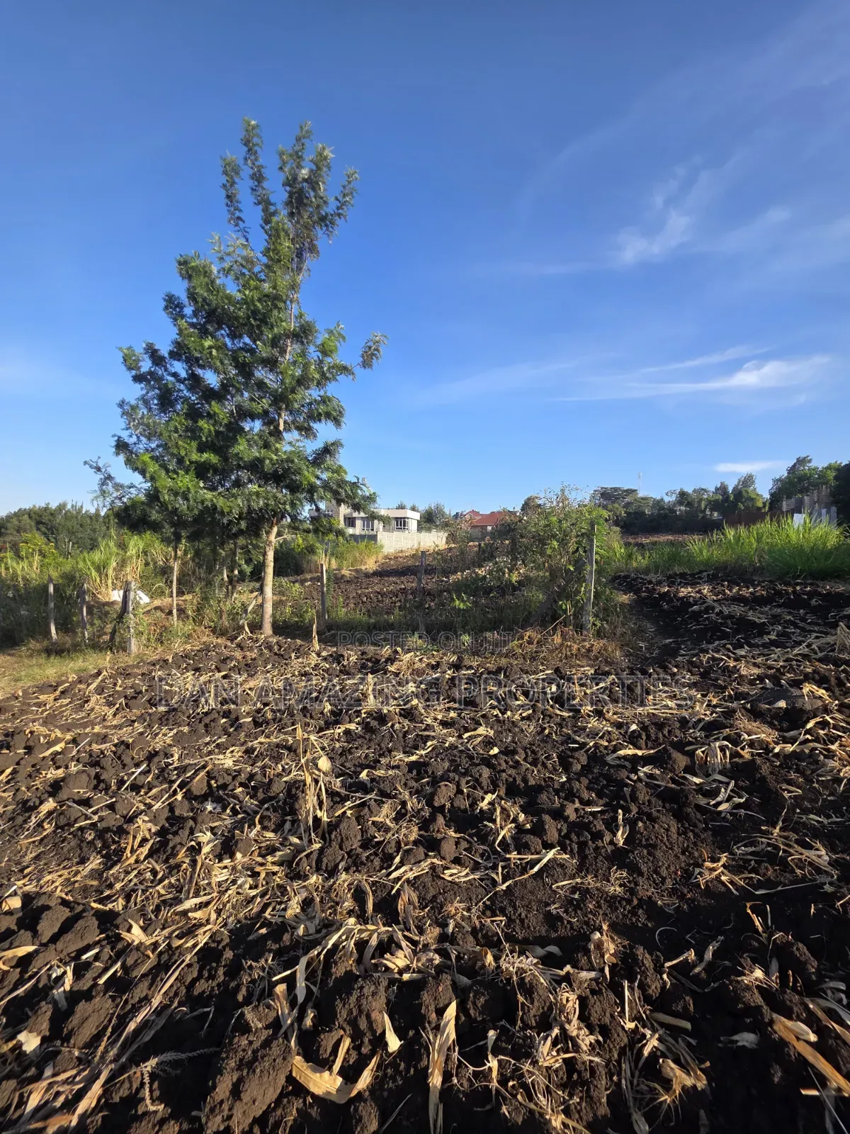 1/2 Acre Ngong Olkeri for Sale Ideal for Residential Development in Ol Keri