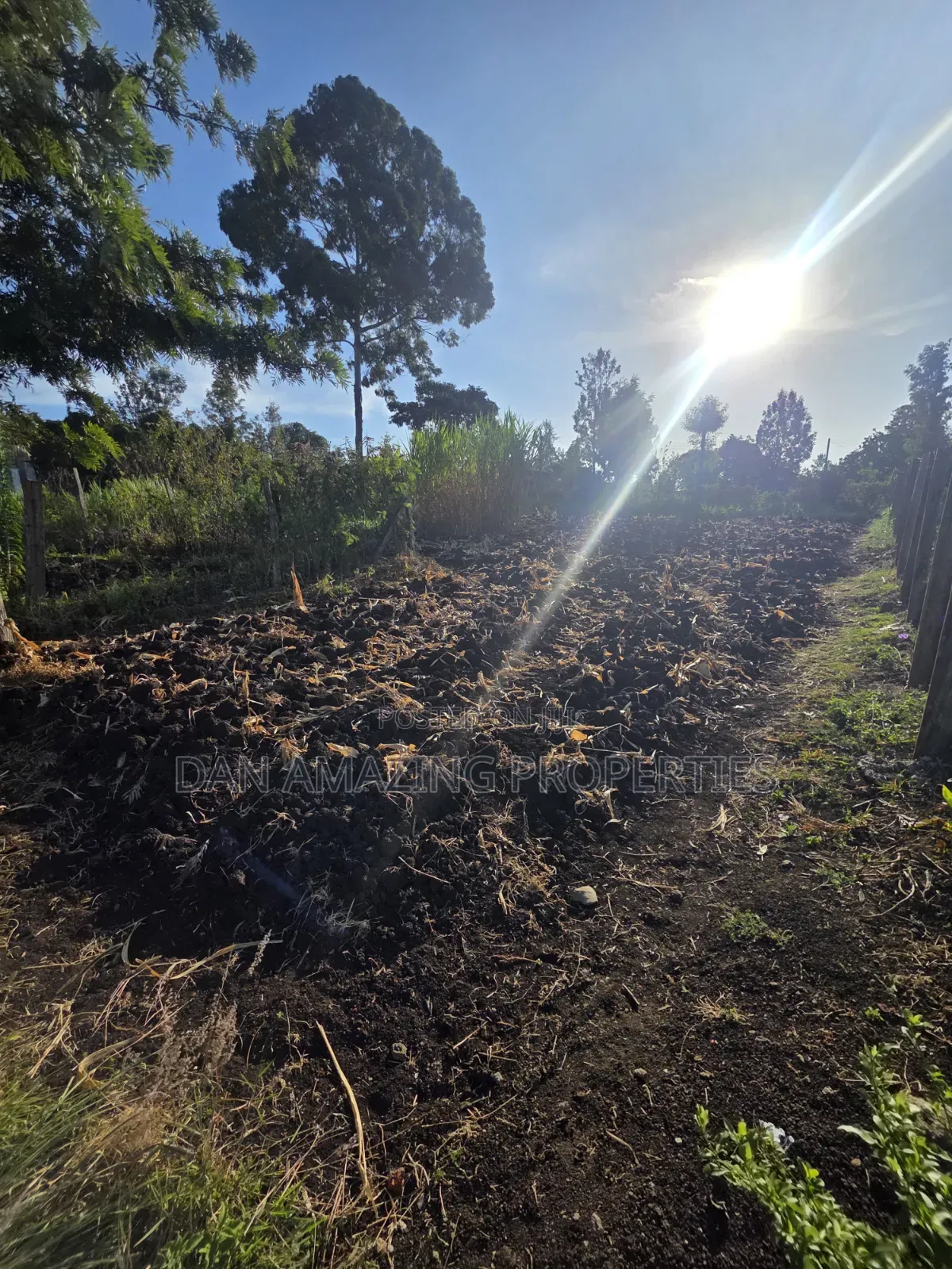 1/2 Acre Ngong Olkeri for Sale Ideal for Residential Development in Ol Keri