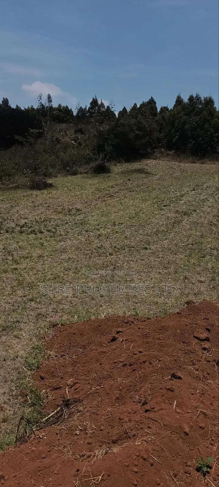 Kikuyu Kamangu Ndiguini in Karai