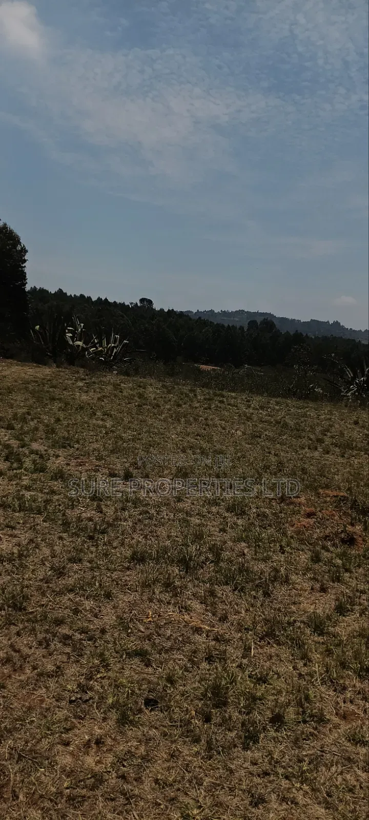 Kikuyu Kamangu Ndiguini in Karai