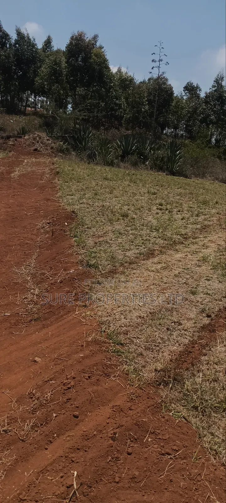 Kikuyu Kamangu Ndiguini in Karai