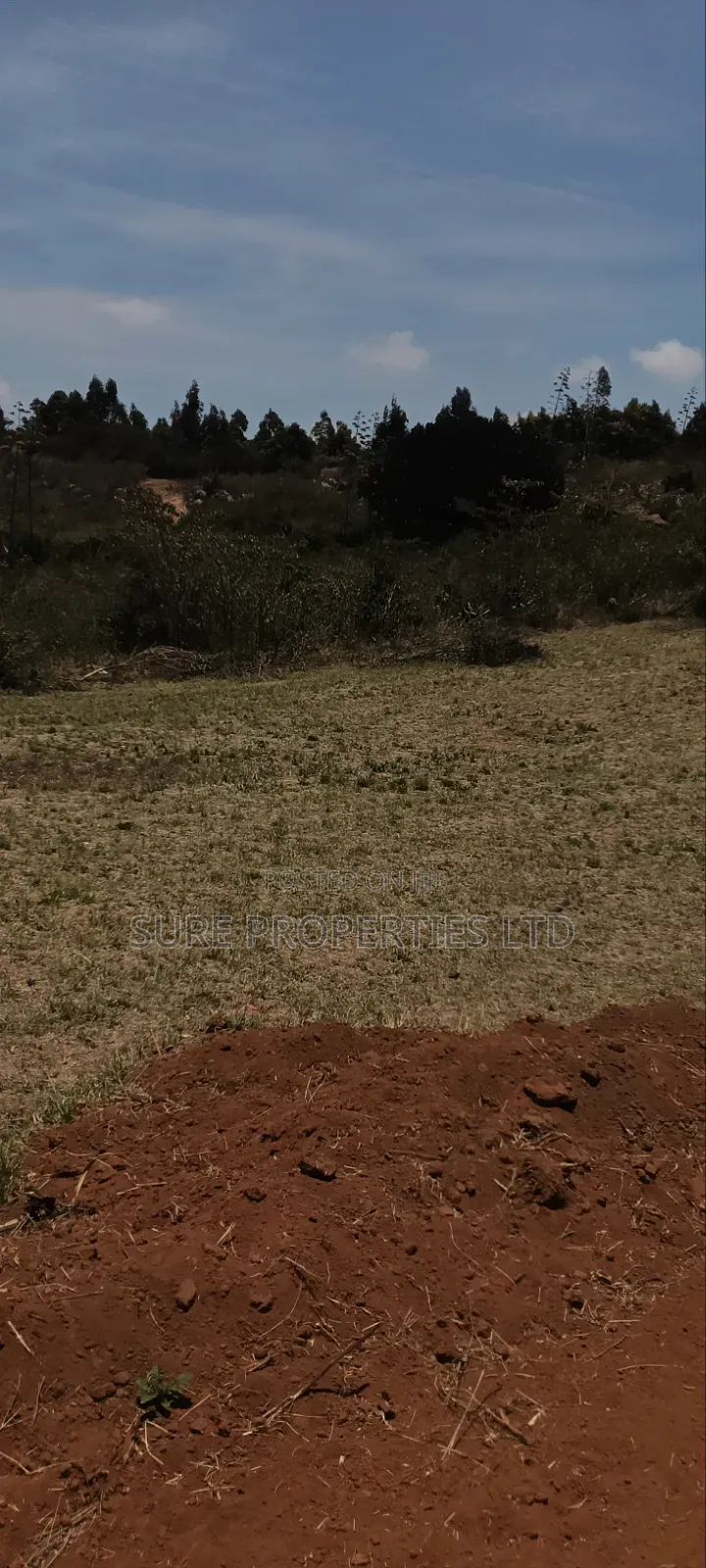Kikuyu Kamangu Ndiguini in Karai