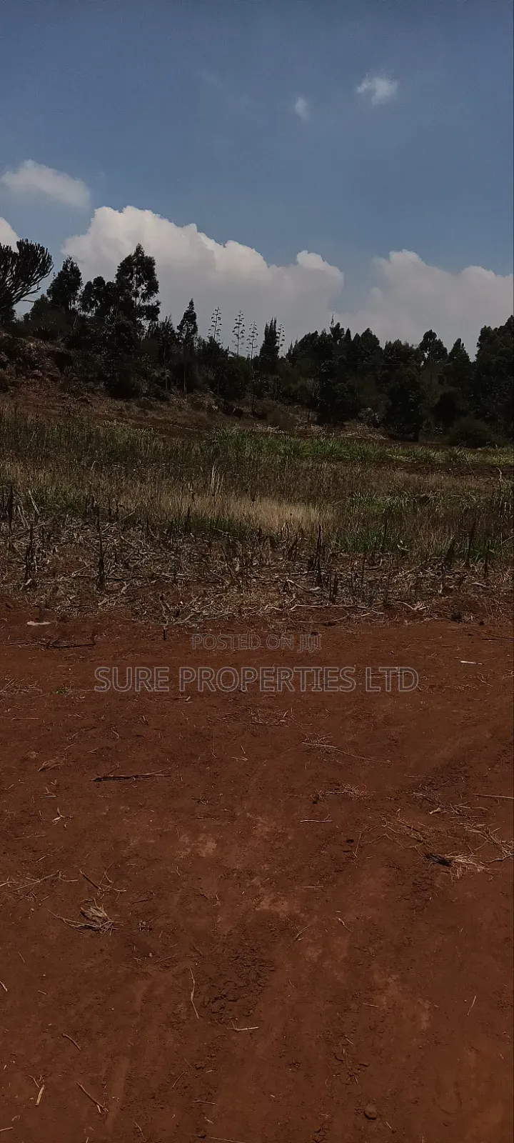 Kikuyu Kamangu Ndiguini in Karai