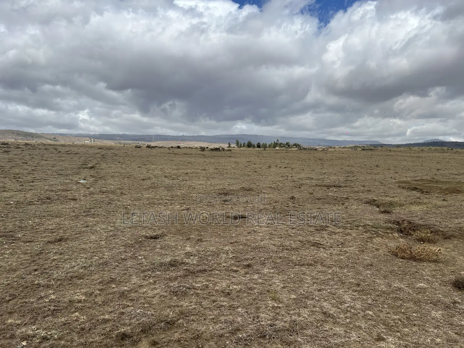 1 Acre Plots for Sale in Naivasha for Sale 5 Million in Cash in Naivasha