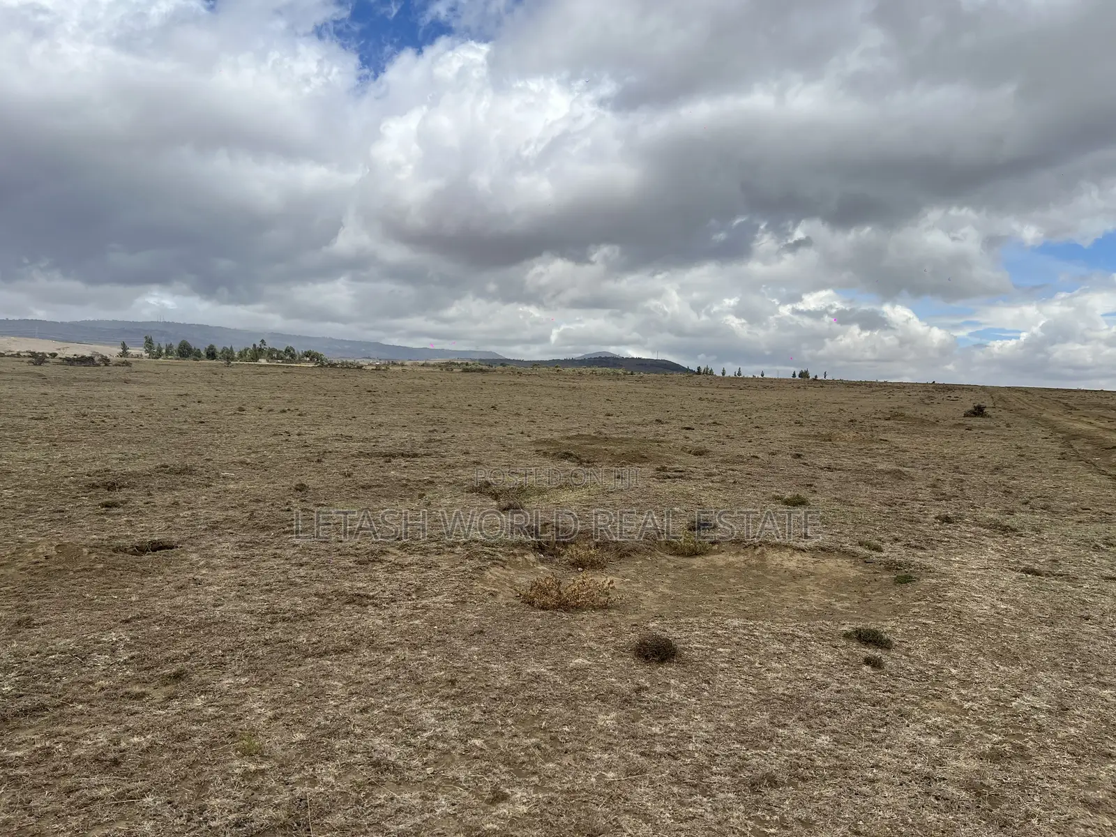 1 Acre Plots for Sale in Naivasha for Sale 5 Million in Cash in Naivasha