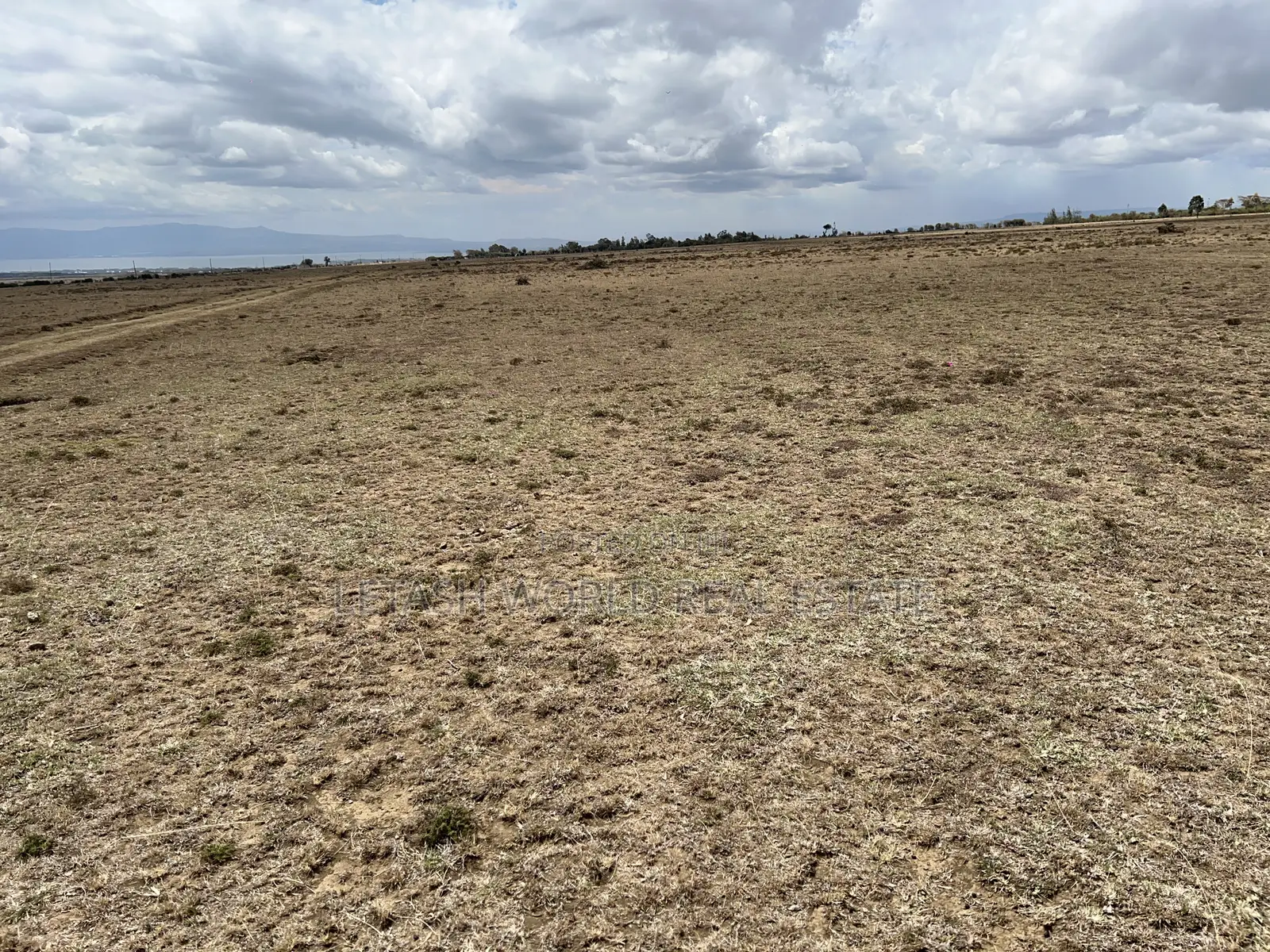 1 Acre Plots for Sale in Naivasha for Sale 5 Million in Cash in Naivasha