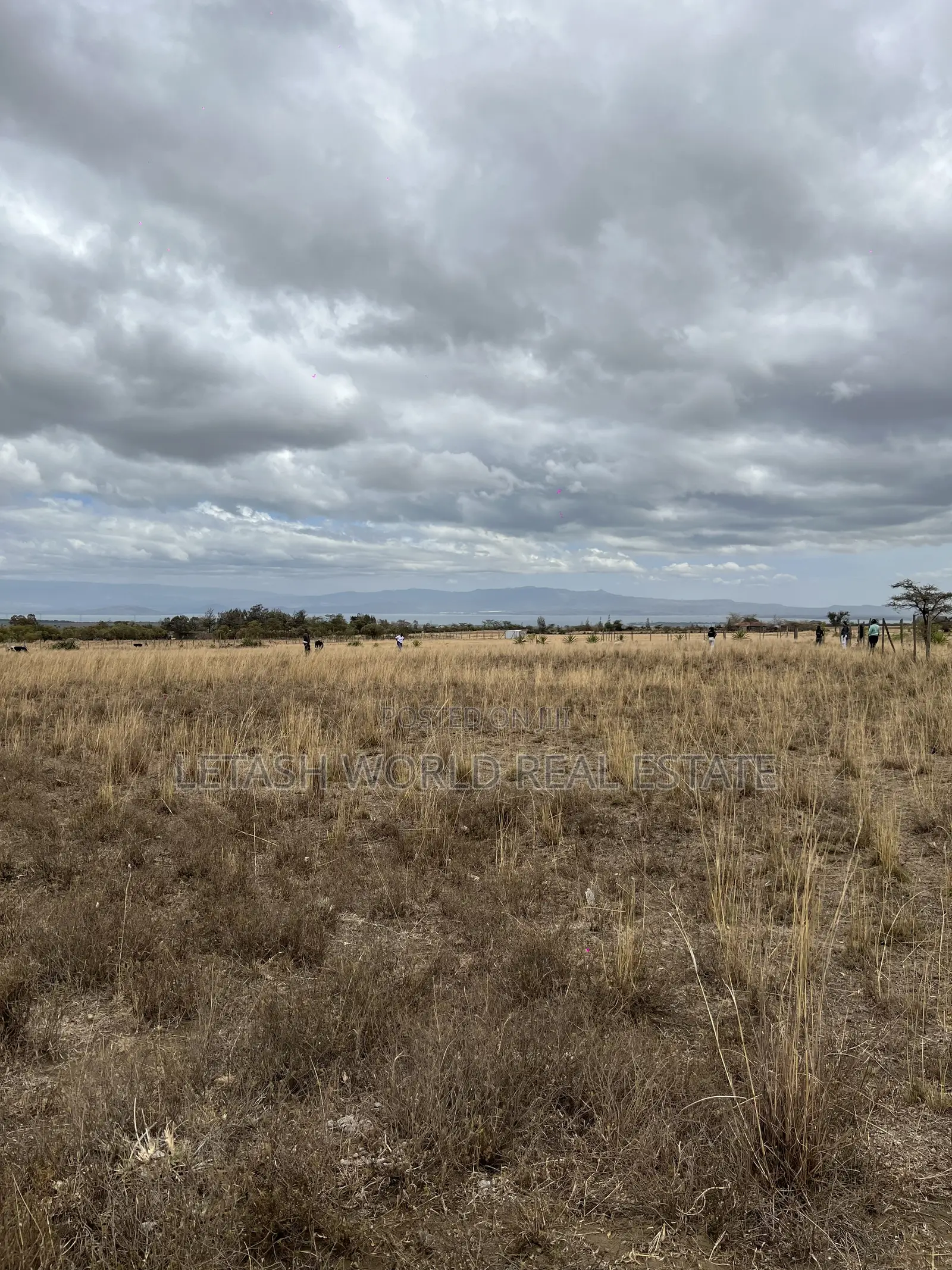 50 by 100 Plots for 750,000 in Cash Along Naivasha Maimahiu Highway in Mirera
