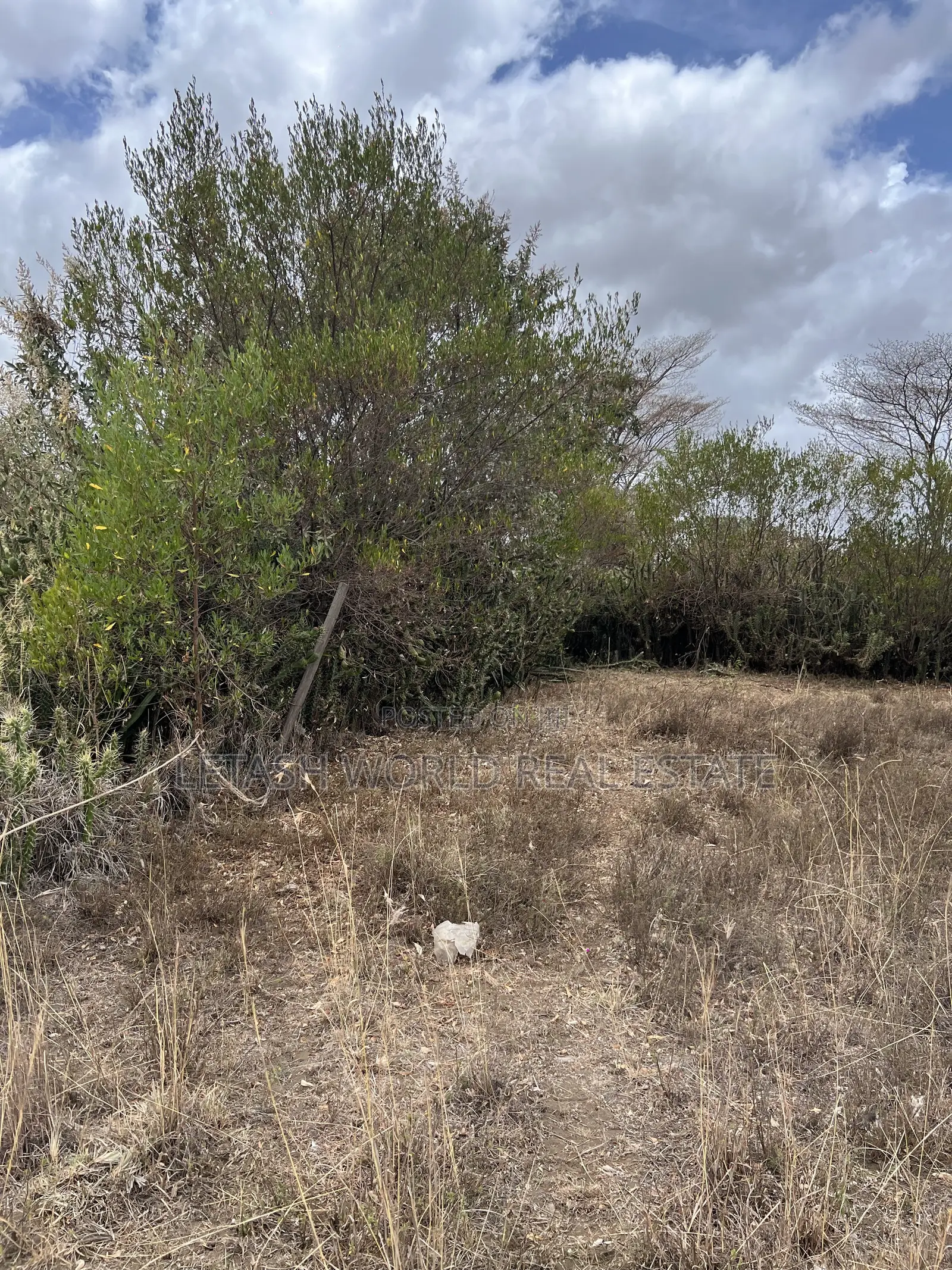 50 by 100 Plots for 750,000 in Cash Along Naivasha Maimahiu Highway in Mirera