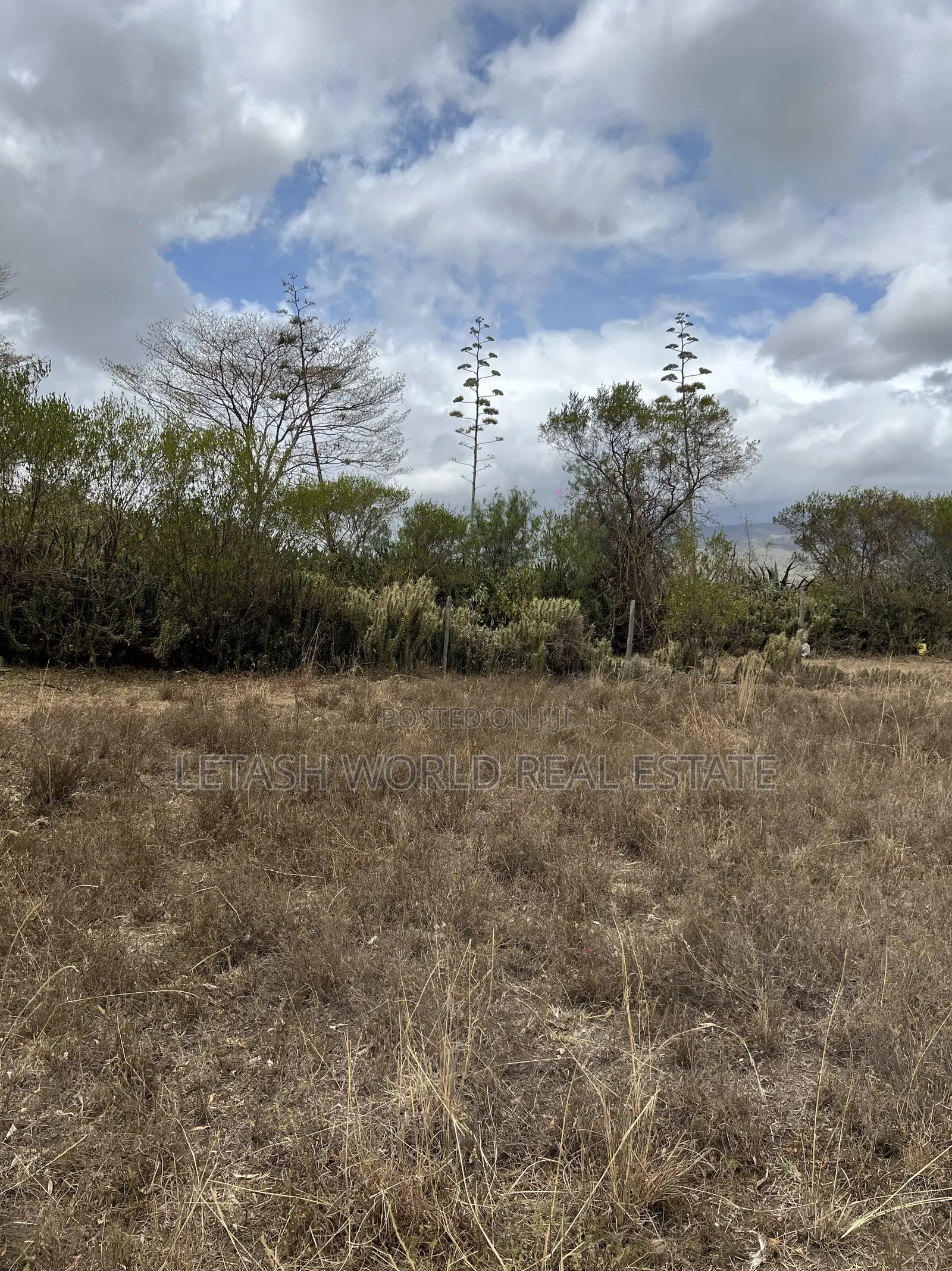 50 by 100 Plots for 750,000 in Cash Along Naivasha Maimahiu Highway in Mirera