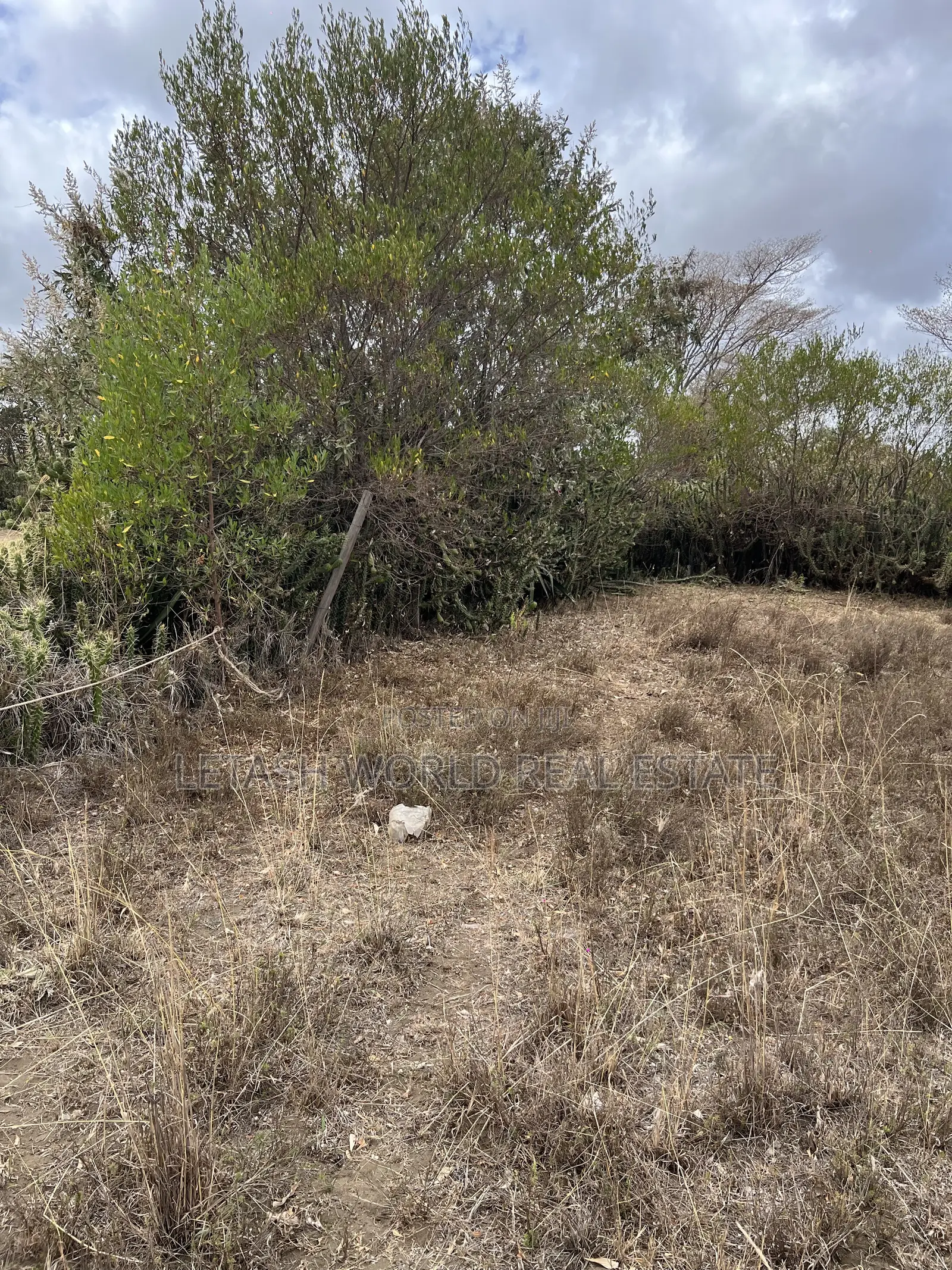 50 by 100 Plots for 750,000 in Cash Along Naivasha Maimahiu Highway in Mirera