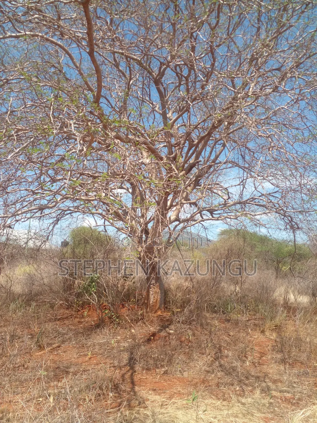 Voi's Best Sitted 6.7 Acres Only 1.2 KMS From Mombasa/Nairobi Highway. in Mbololo