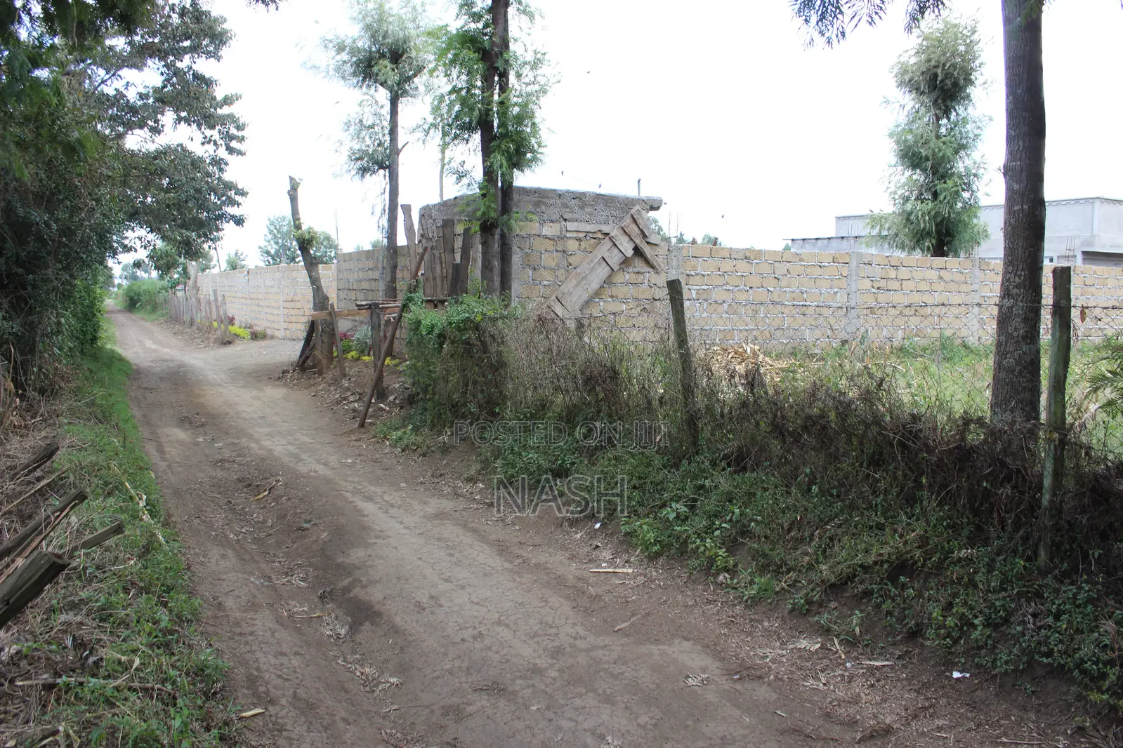 Mang'u Mastoo 50 X 100 Plots for Sale in Ngata