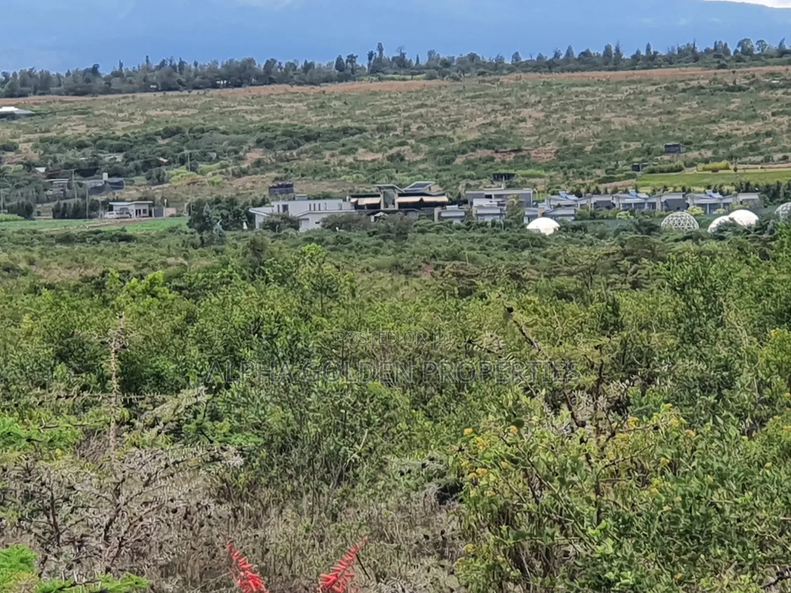 Daiga 2.5 Acres on Sale [ Tufaha ] Area in Nanyuki