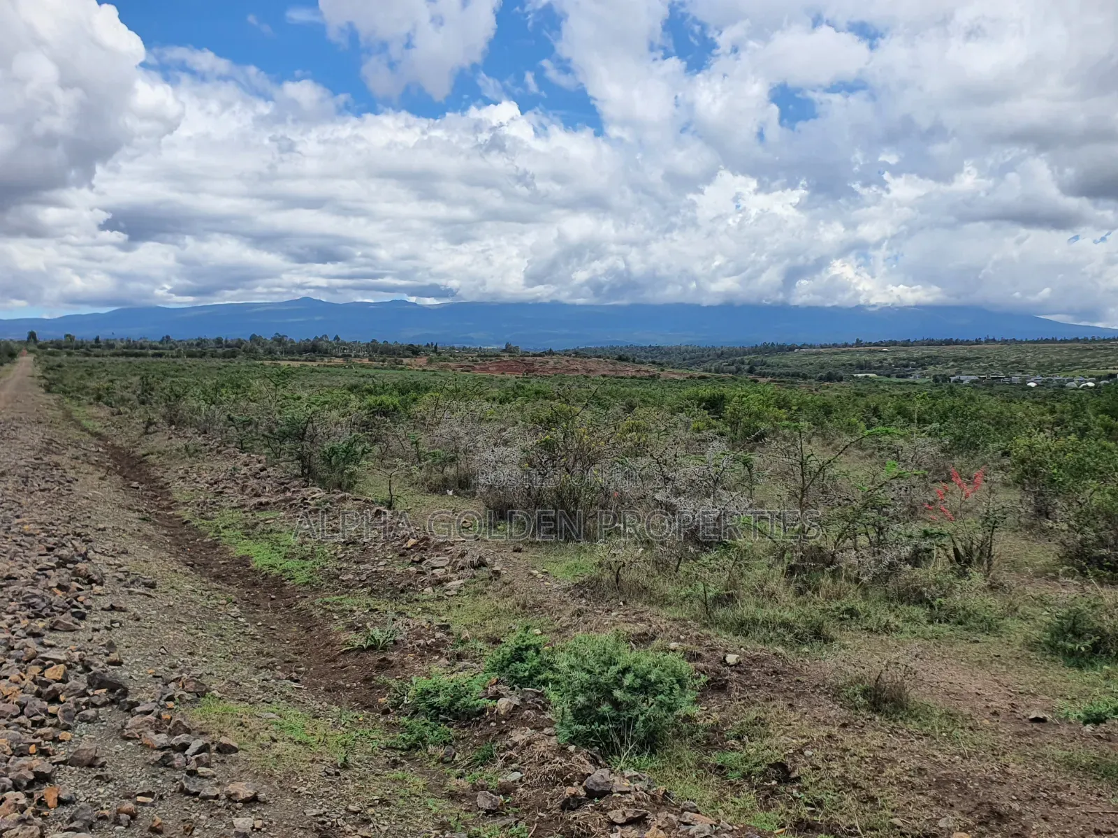 Daiga 2.5 Acres on Sale [ Tufaha ] Area in Nanyuki