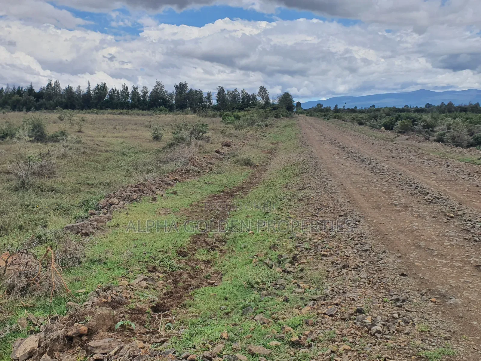 Daiga 2.5 Acres on Sale [ Tufaha ] Area in Nanyuki