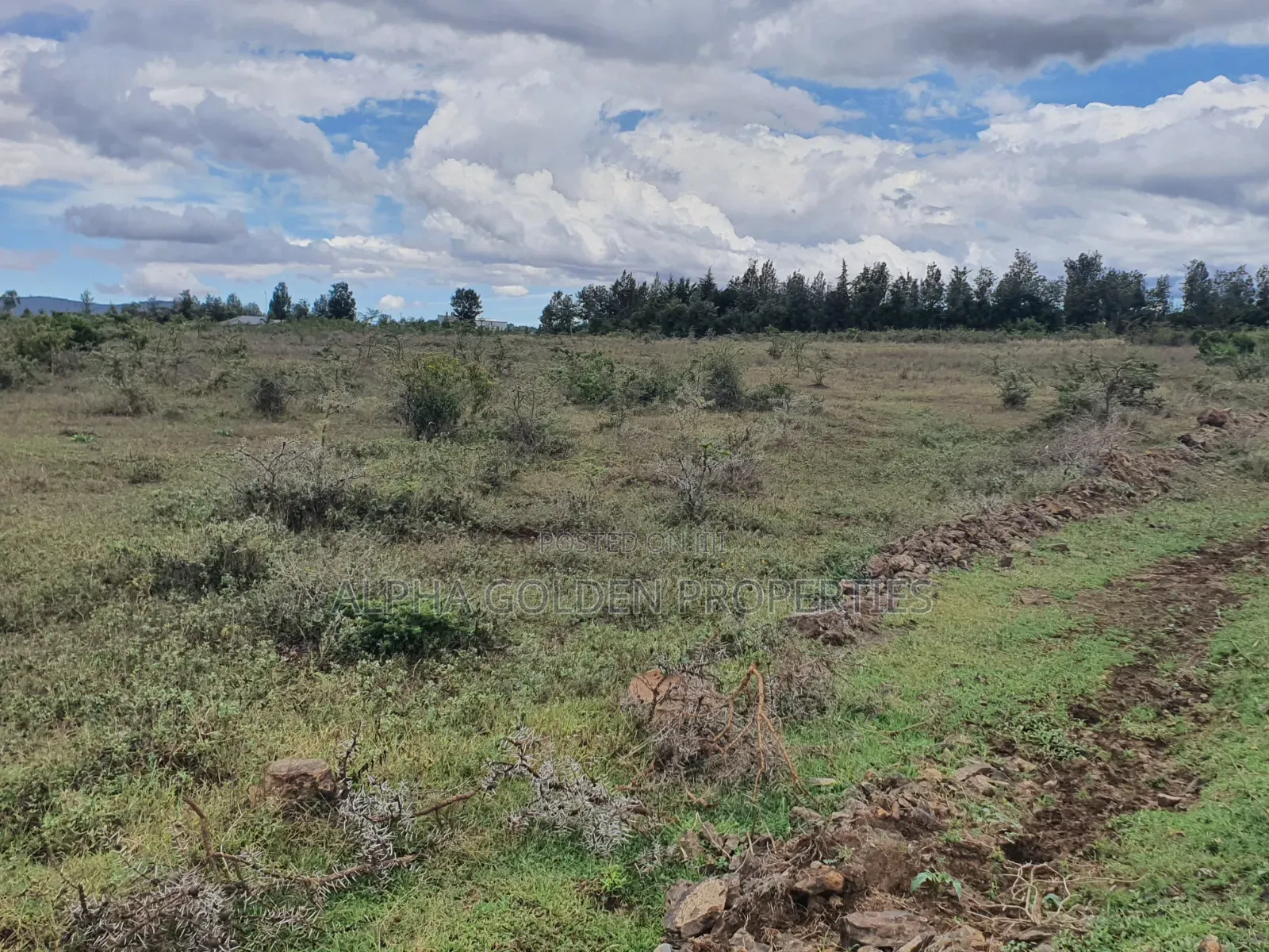 Daiga 2.5 Acres on Sale [ Tufaha ] Area in Nanyuki
