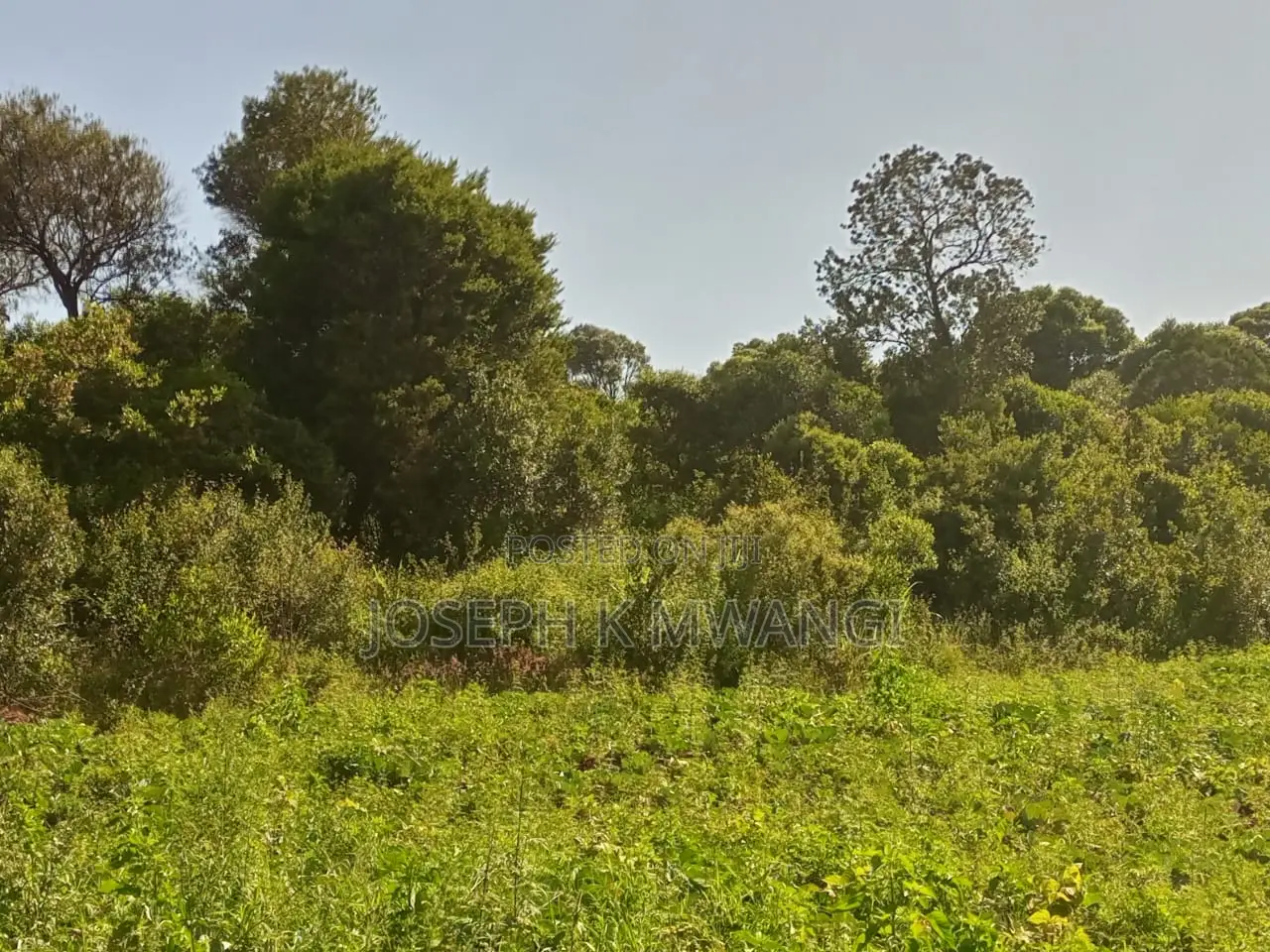 Nanyuki Kalalu 6.75 Acres With 3 B/Rooms Bungalow, River Frontage in Umande