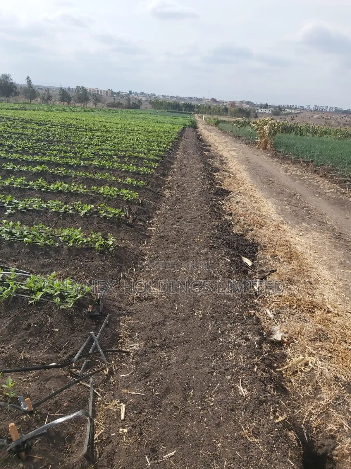 Prime 20 Acres Land for Sale in Kisaju in Kisaju