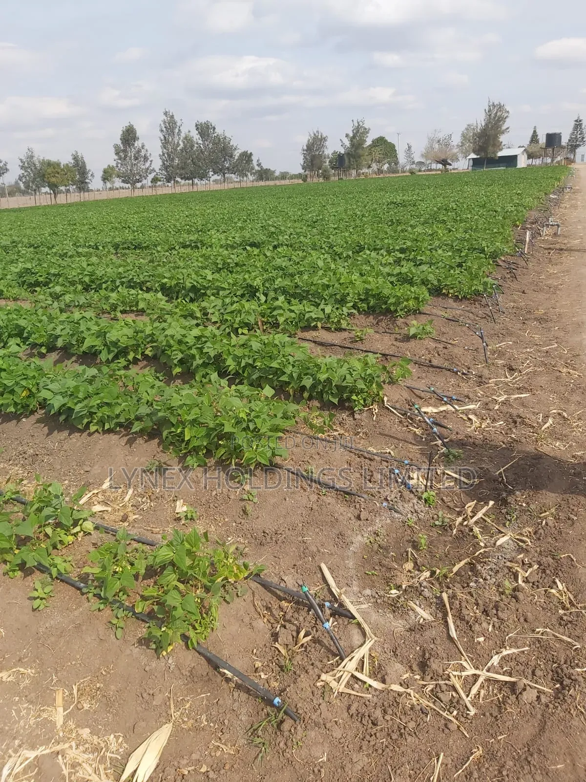 Prime 20 Acres Land for Sale in Kisaju in Kisaju