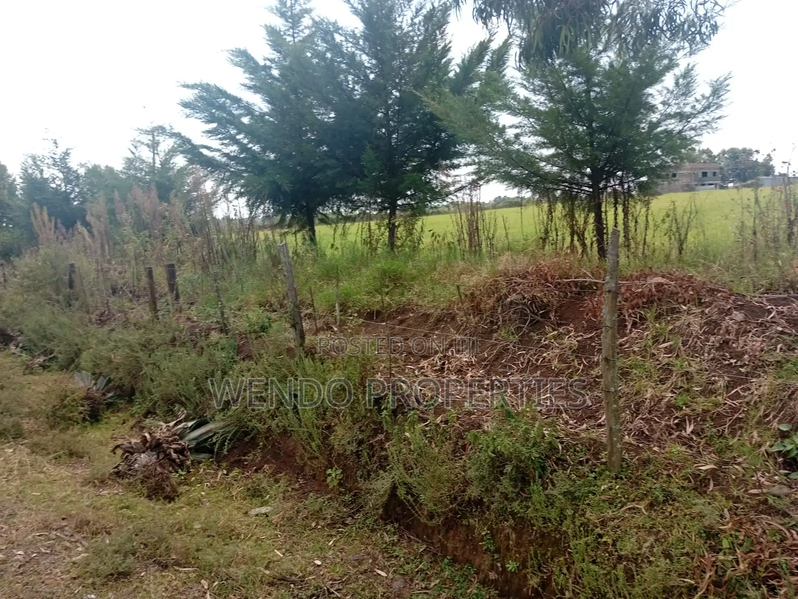 10acres for Sale in Ngata in Ngata