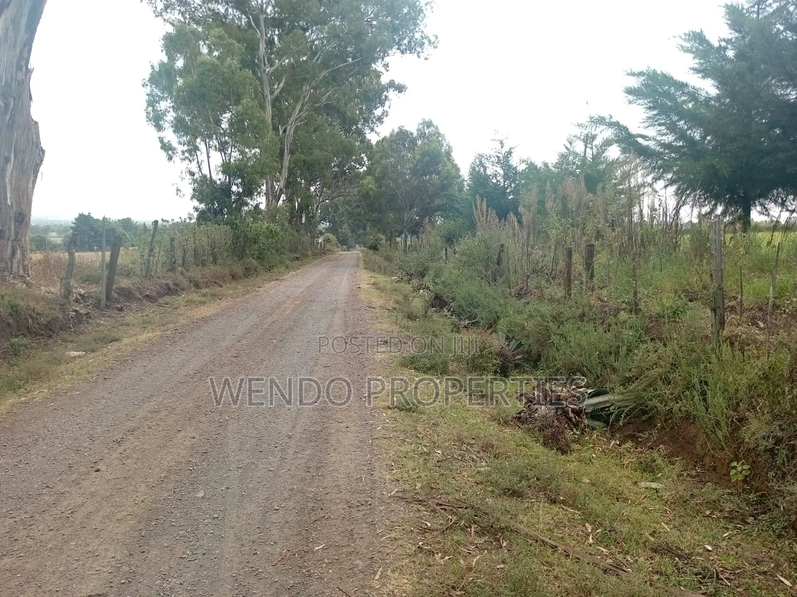 10acres for Sale in Ngata in Ngata