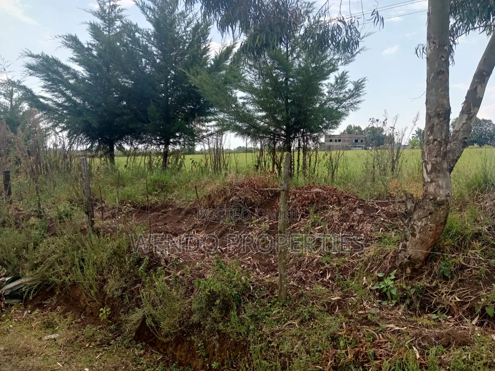 10acres for Sale in Ngata in Ngata
