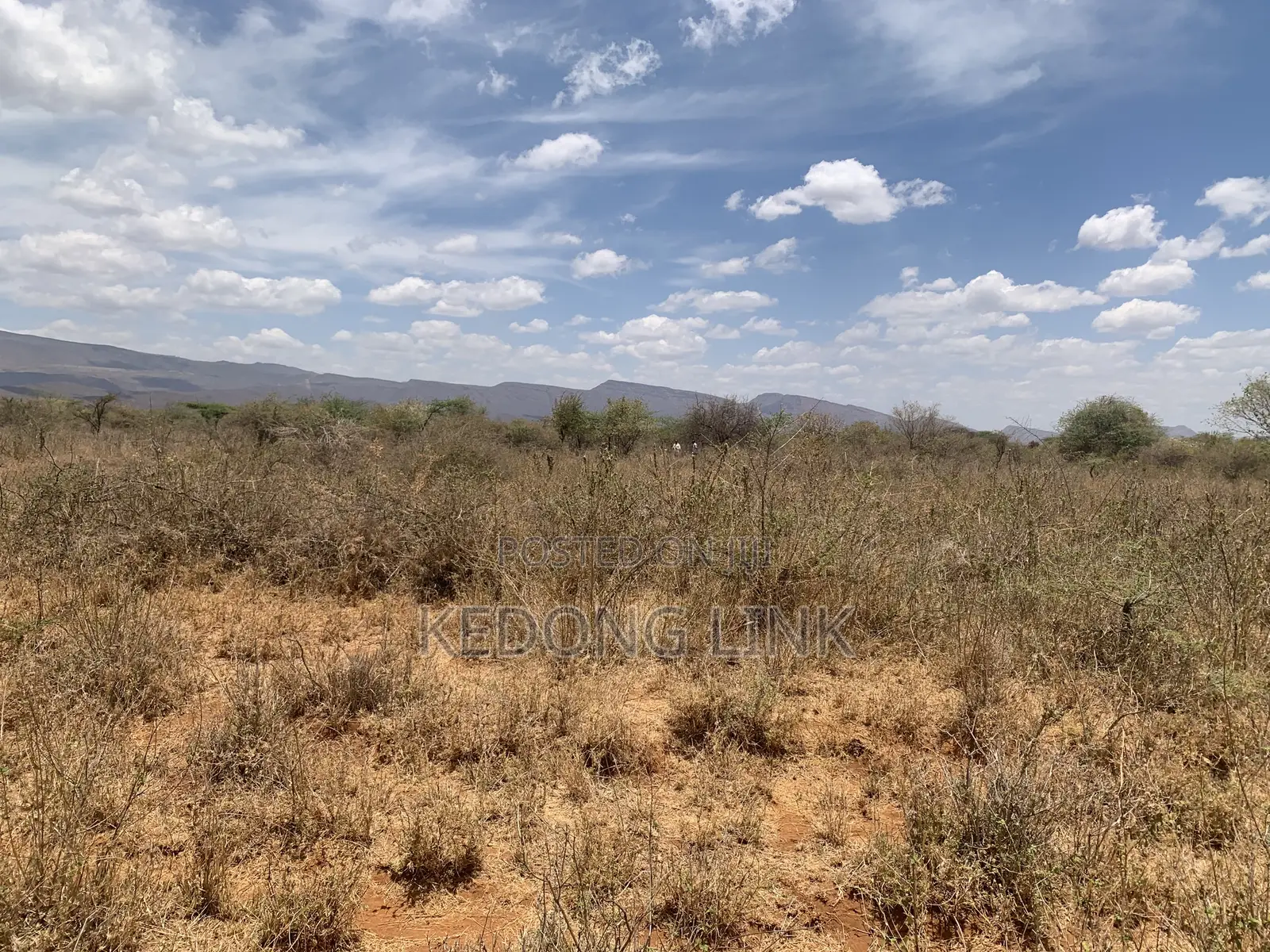 3 Acres at Ewuaso Kedong for Sale in Ewaso Kendong