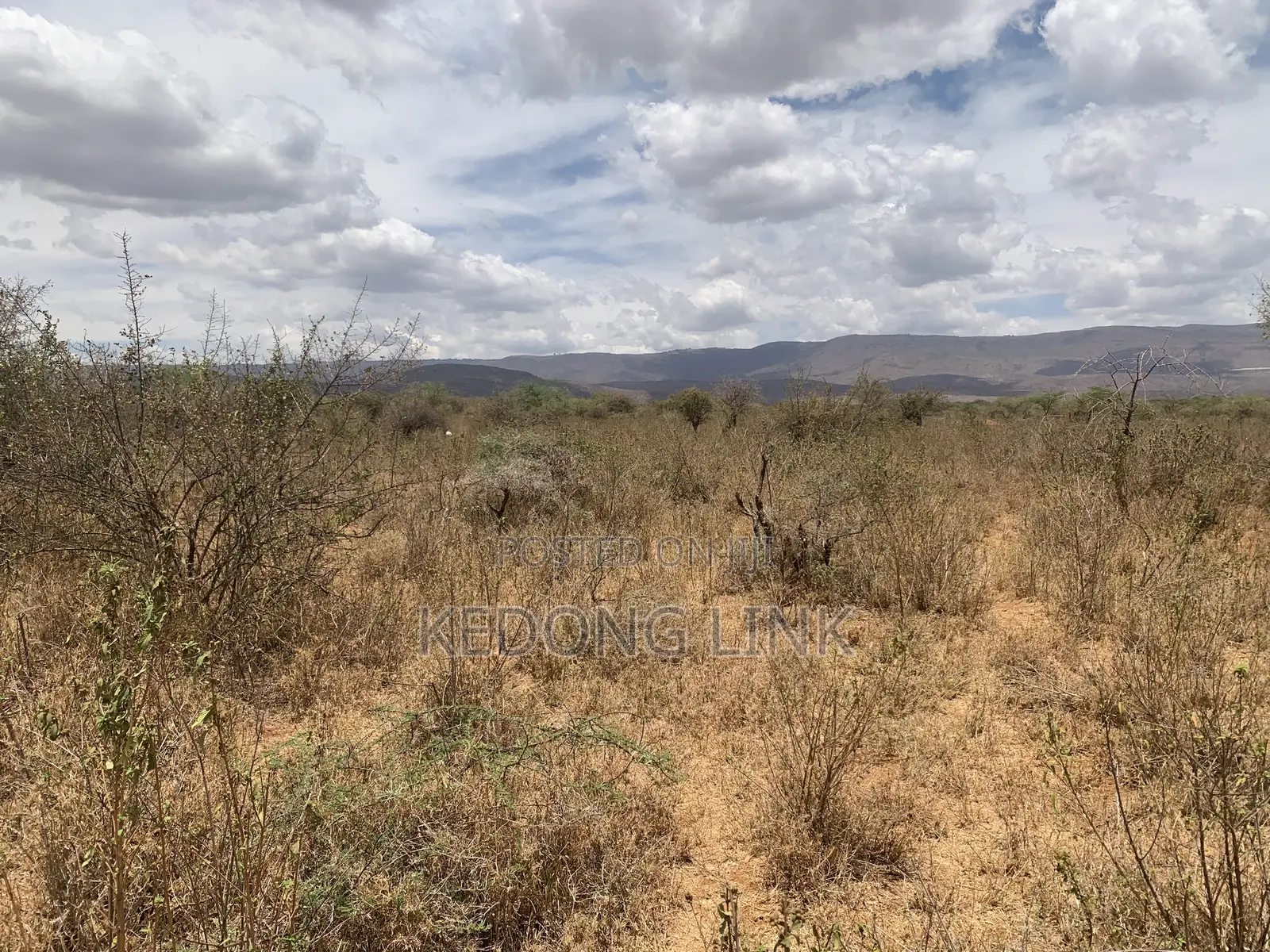 3 Acres at Ewuaso Kedong for Sale in Ewaso Kendong