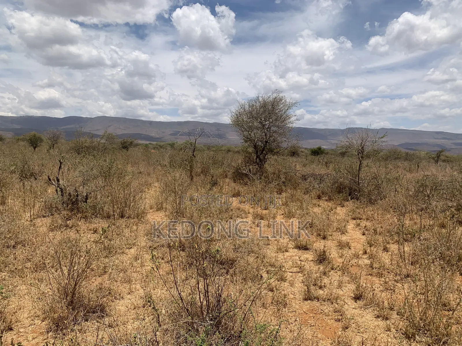 3 Acres at Ewuaso Kedong for Sale in Ewaso Kendong