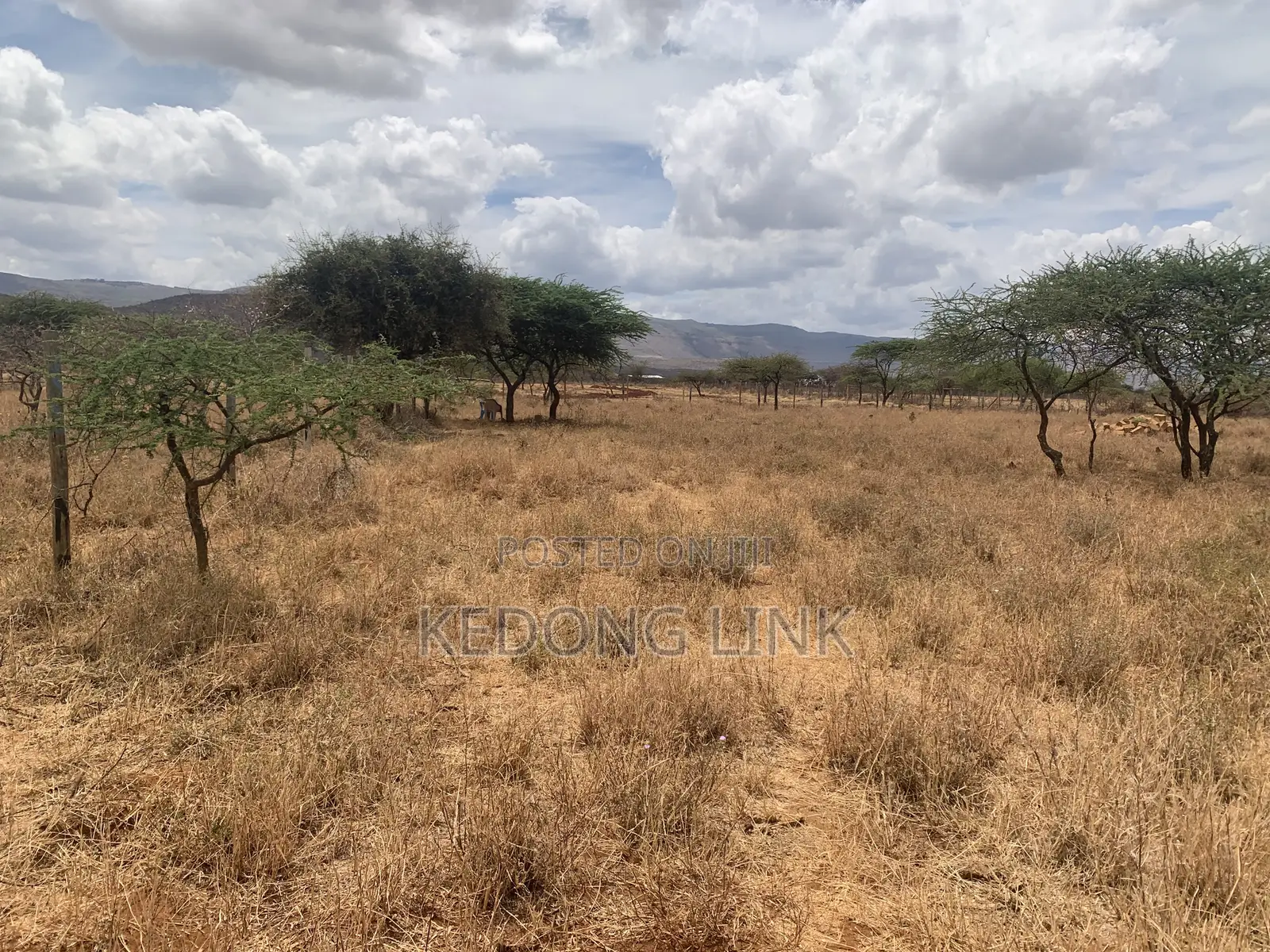 3 Acres Ewuaso Oo Nkidongi Area in Ewuaso Oonkidong'I