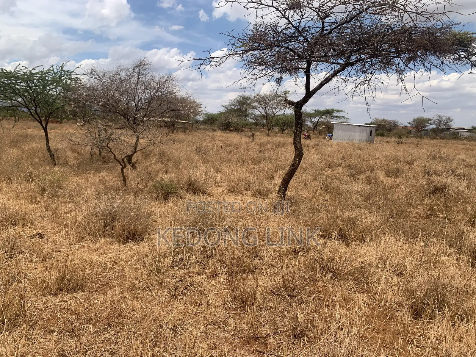 3 Acres Ewuaso Oo Nkidongi Area in Ewuaso Oonkidong'I