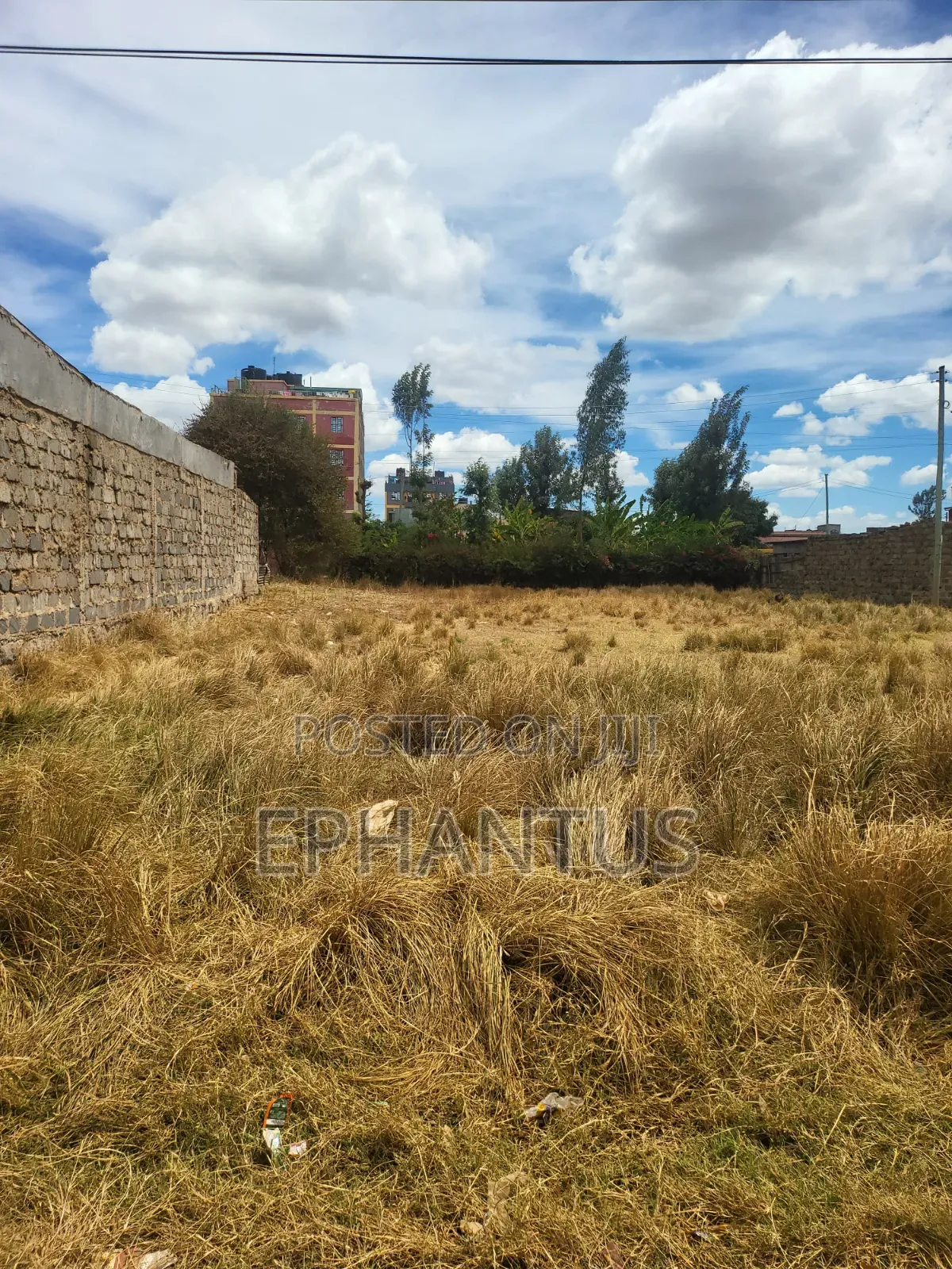 40 by 60 Plots Kenyatta Road Murera in Juja