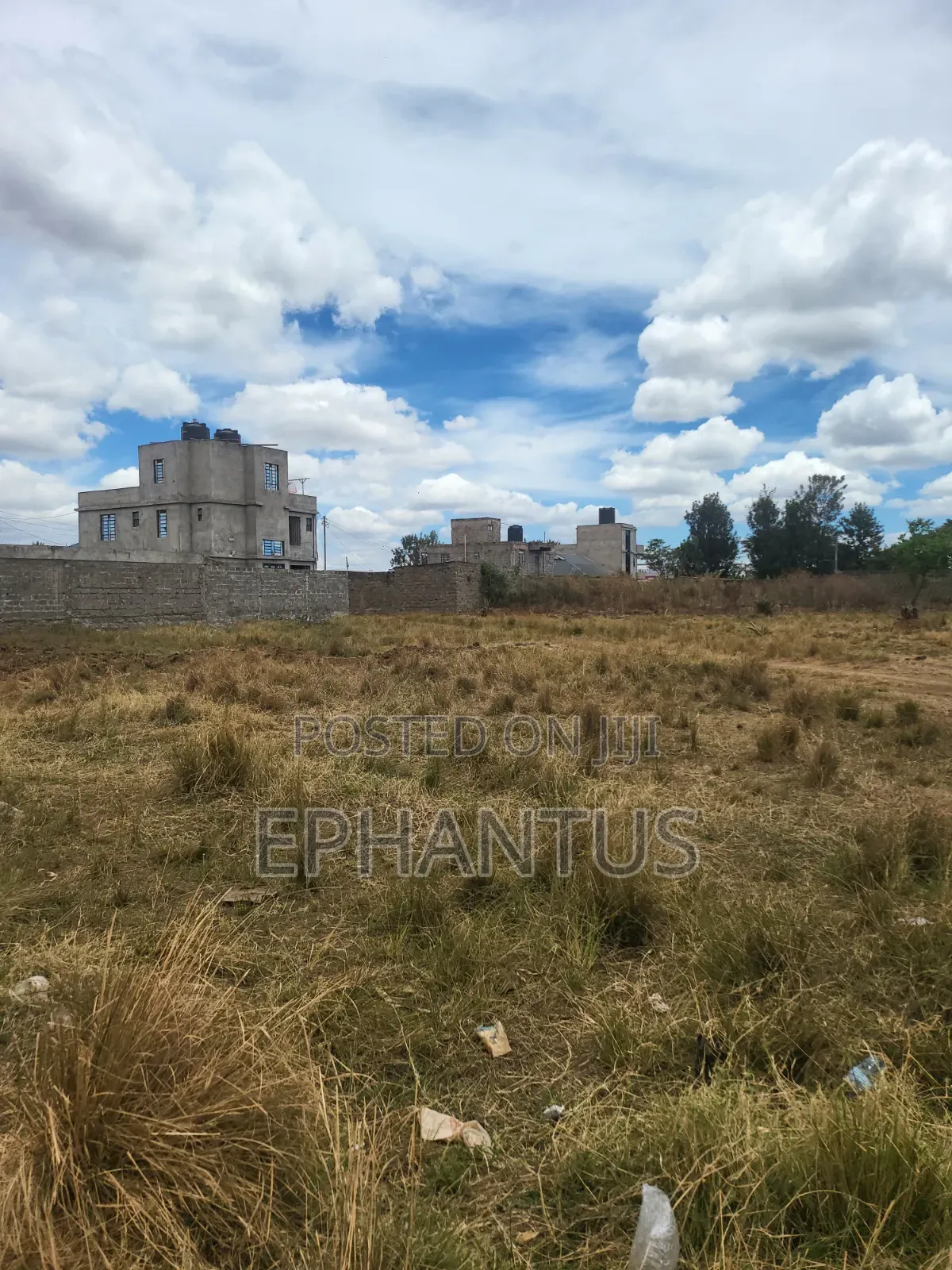 40 by 60 Plots Kenyatta Road Murera in Juja