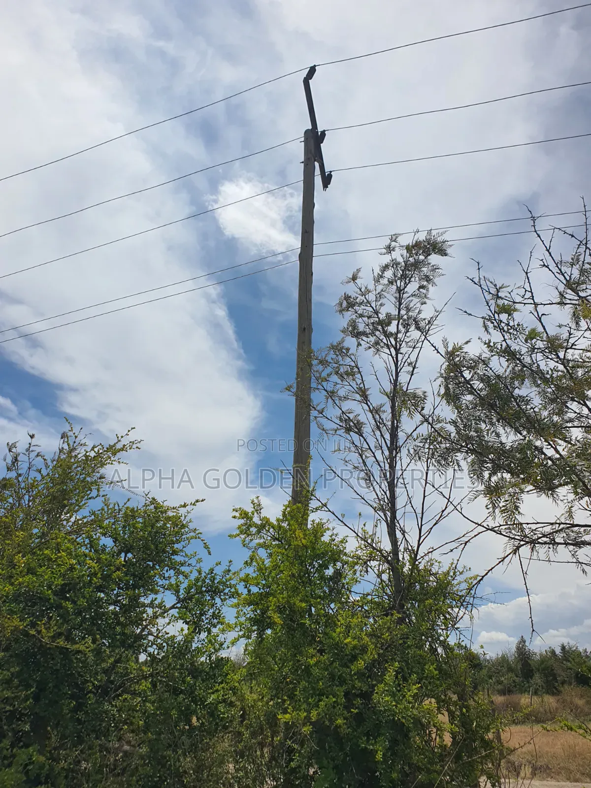 1 Acre Near Nanyuki Airfield in Nanyuki