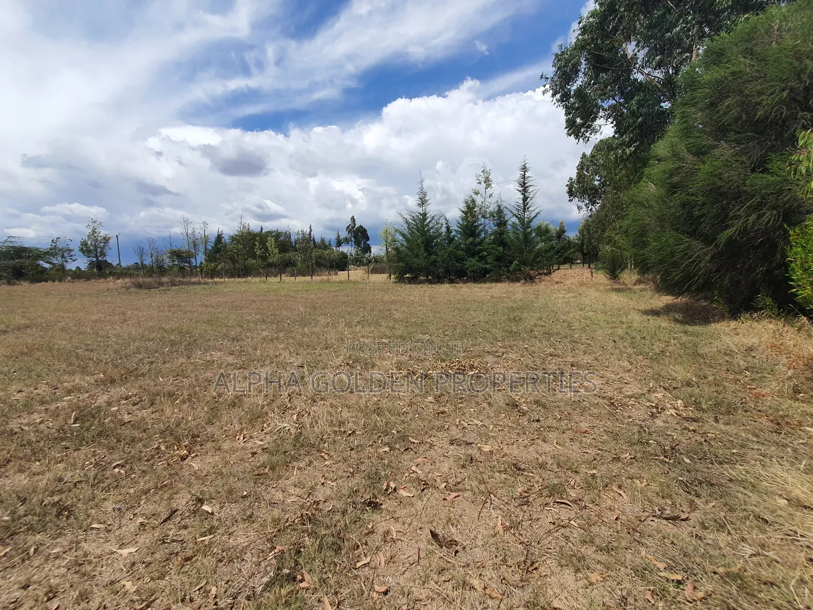 1 Acre Near Nanyuki Airfield in Nanyuki