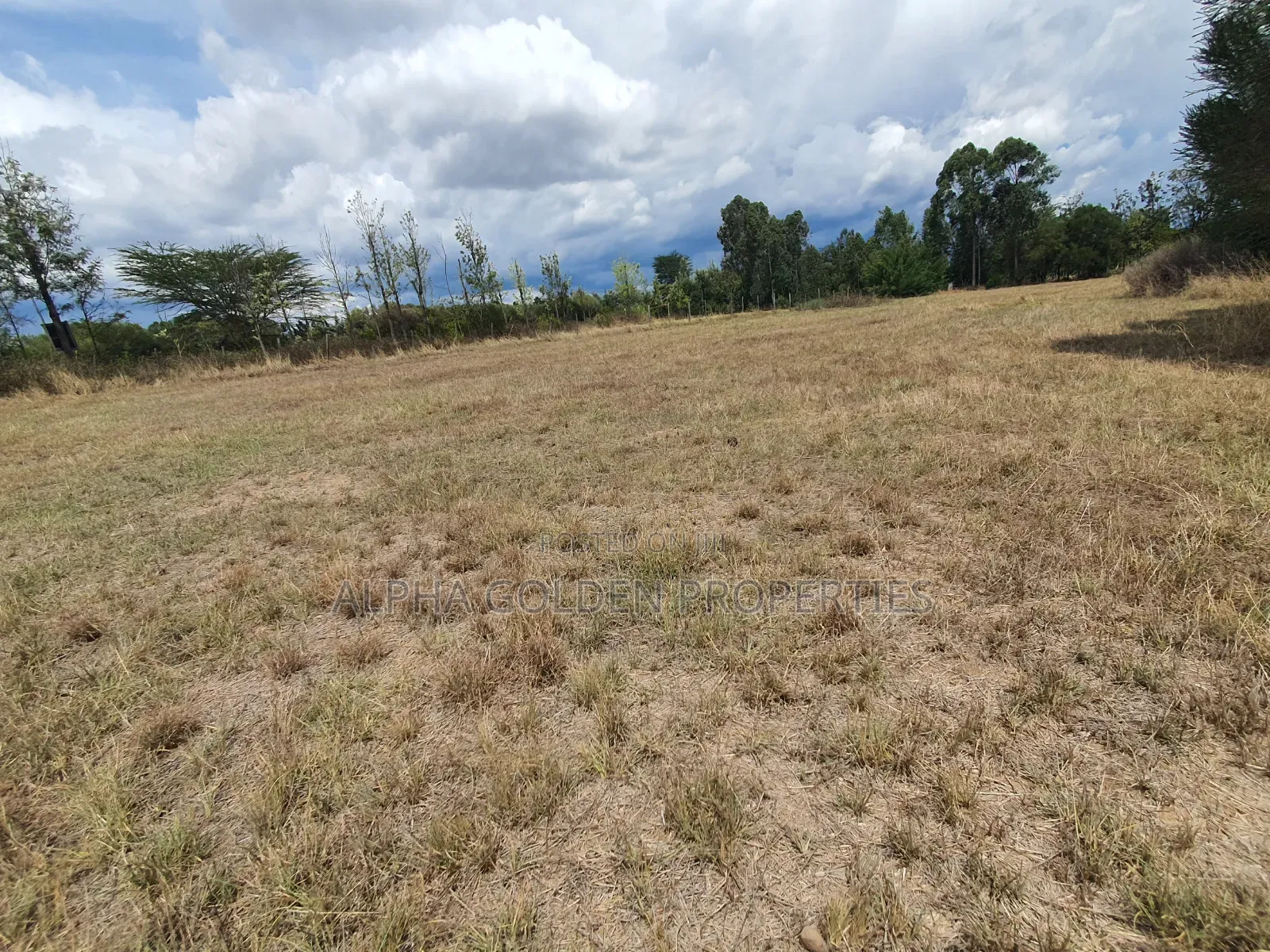1 Acre Near Nanyuki Airfield in Nanyuki