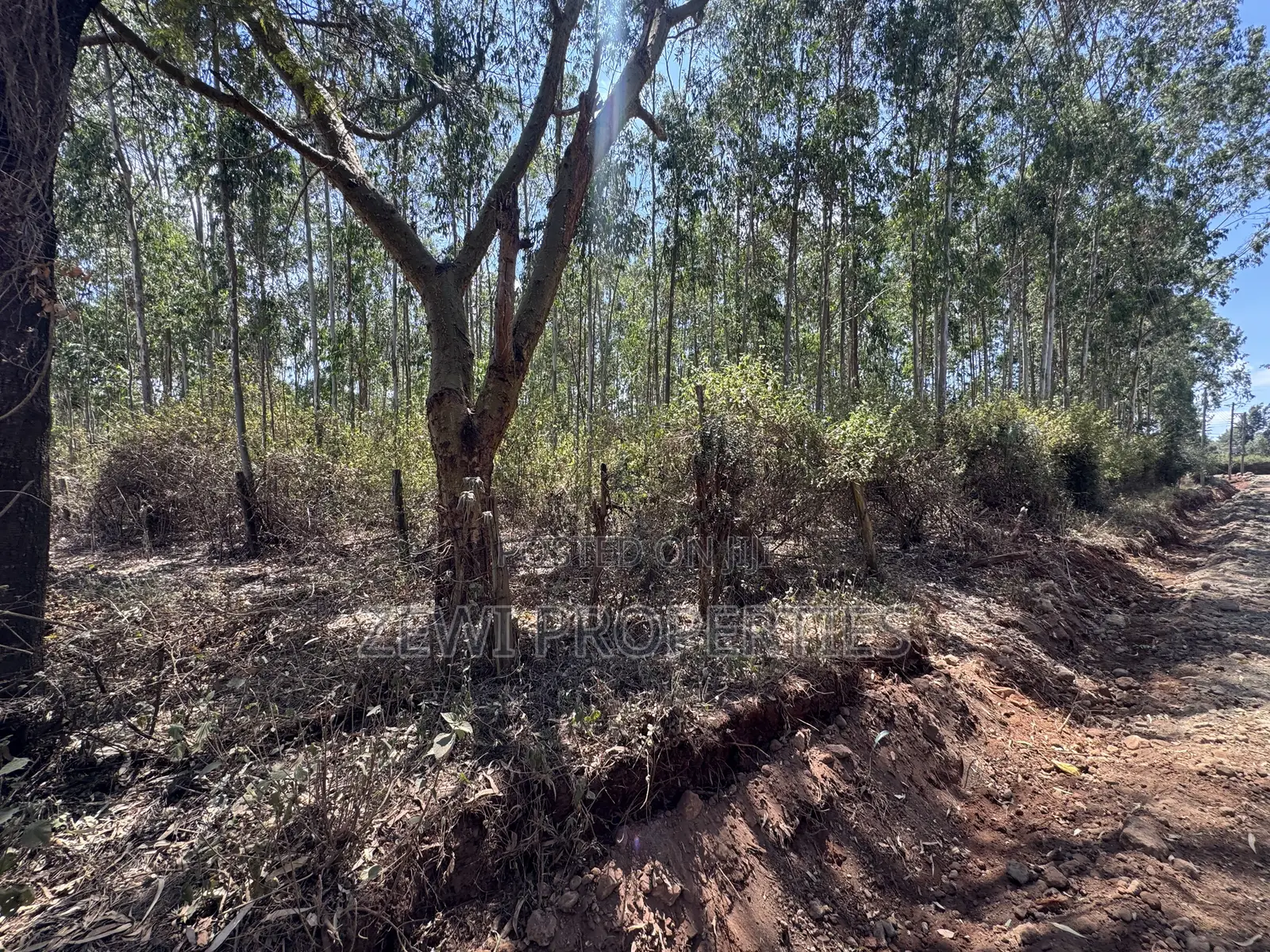 Half Acre Chavara Kibiku in Kibiku