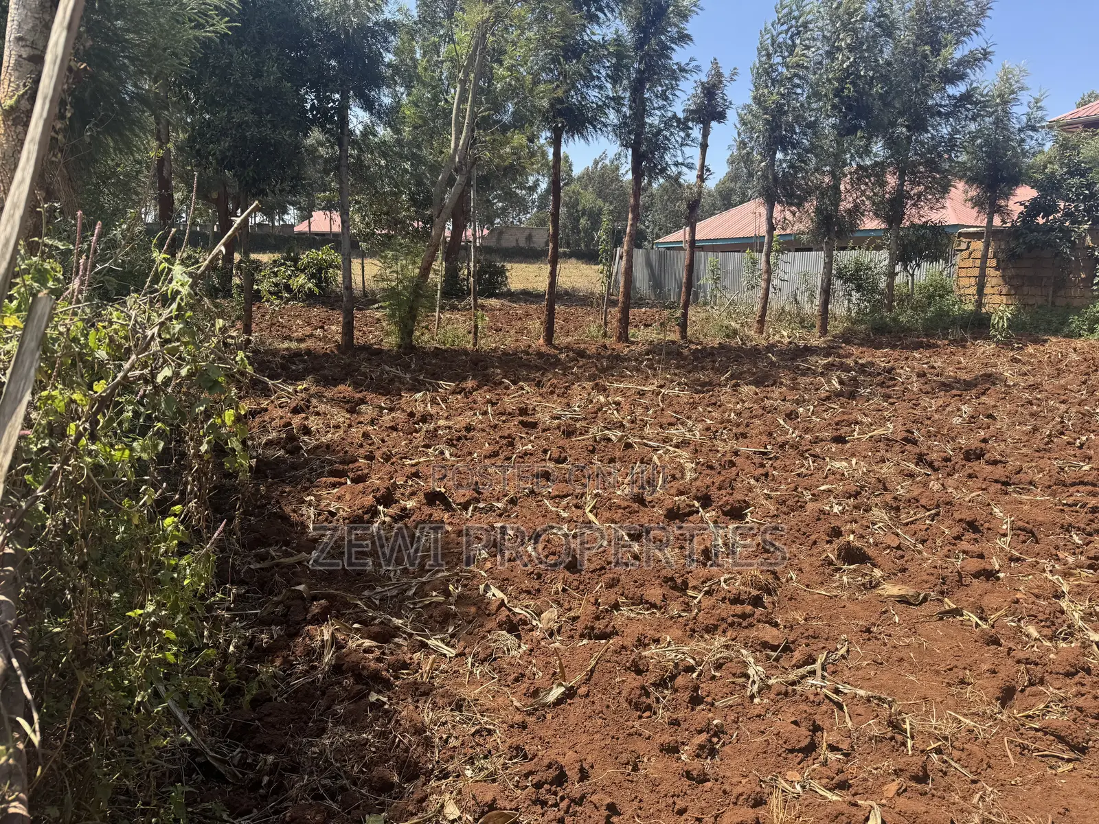 1/8 Plot Chavara Kibiku in Kibiku
