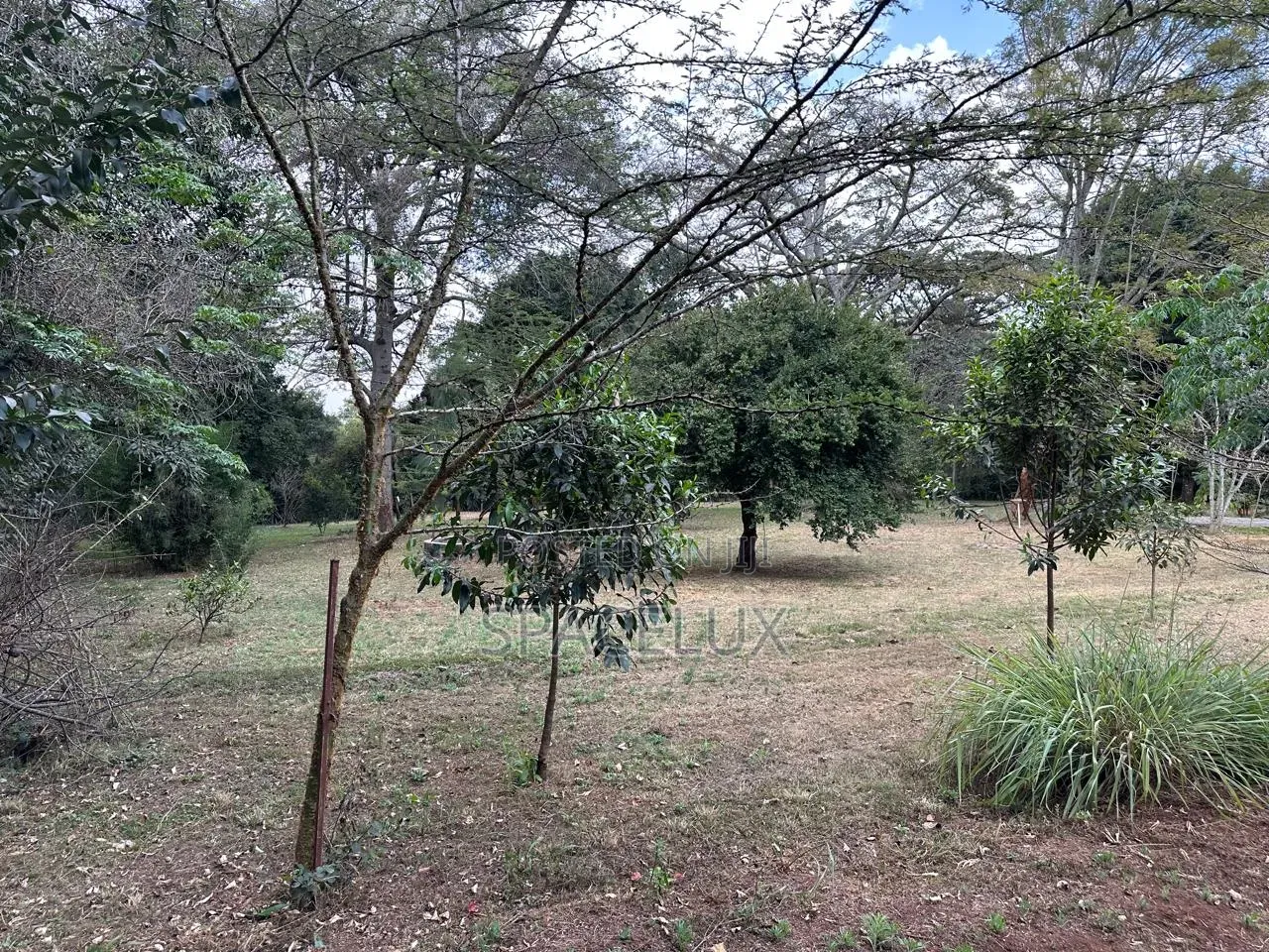 Kilimani 0.5 Acres Prime Land in Hurlingham