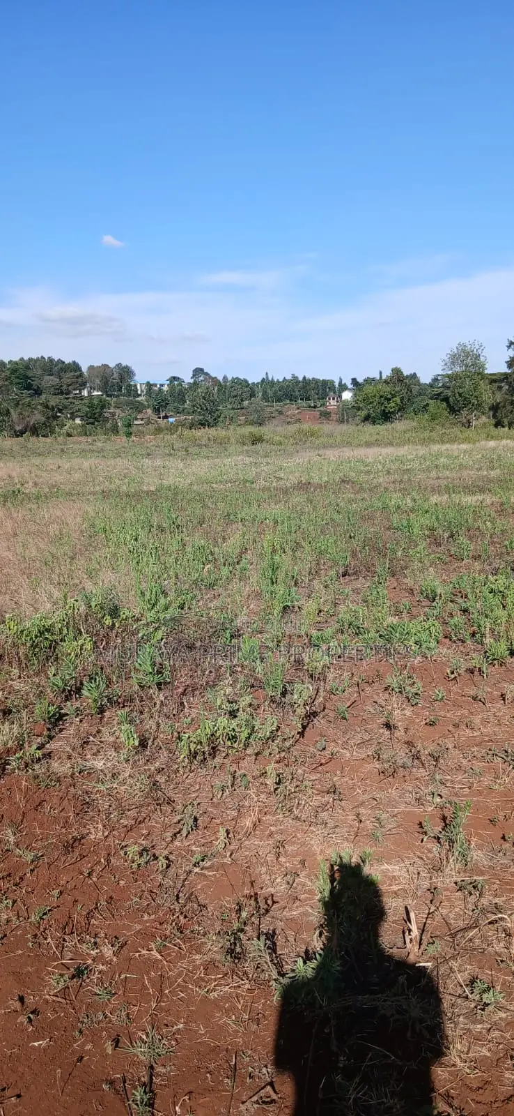 1 Acre Prime Land for Sale – Kerarapon Drive in Kerarapon