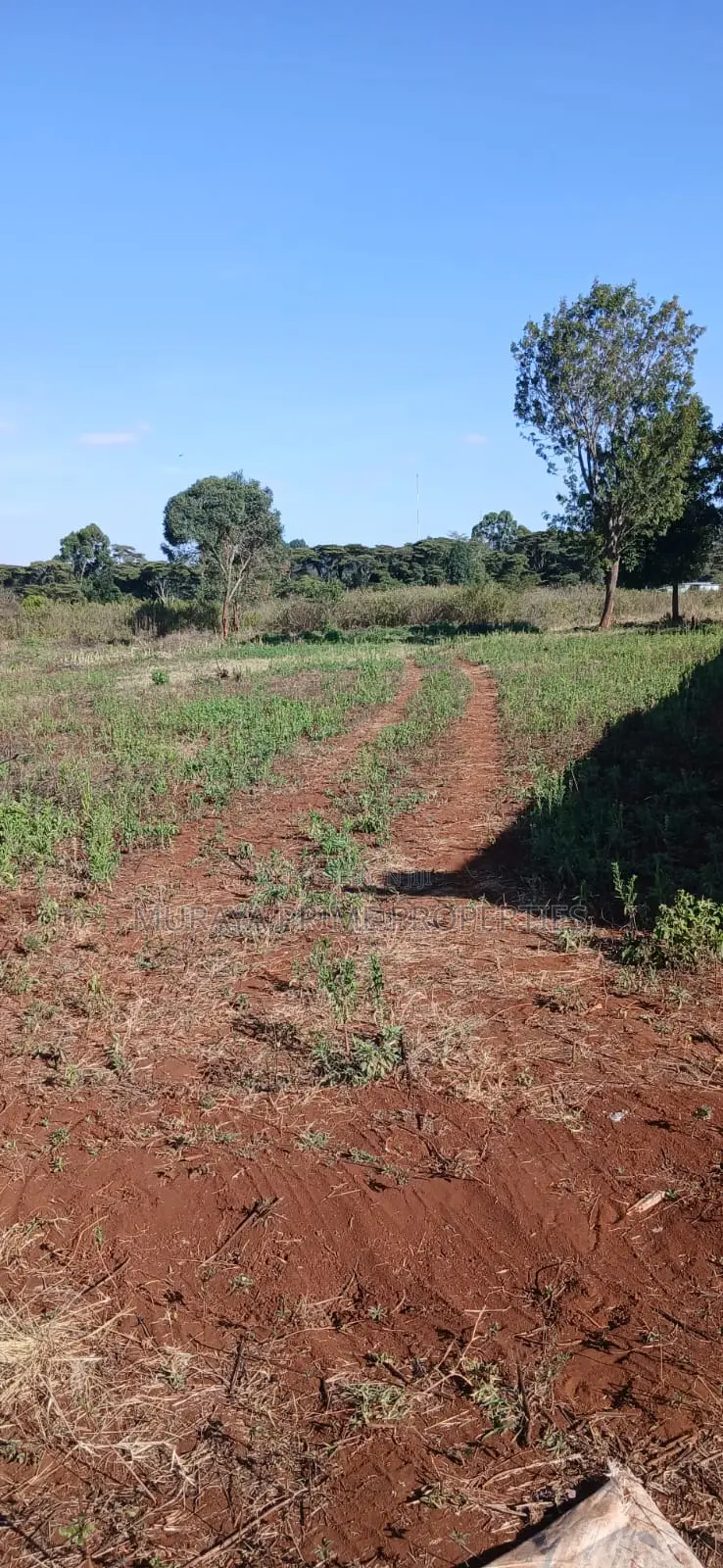 1 Acre Prime Land for Sale – Kerarapon Drive in Kerarapon