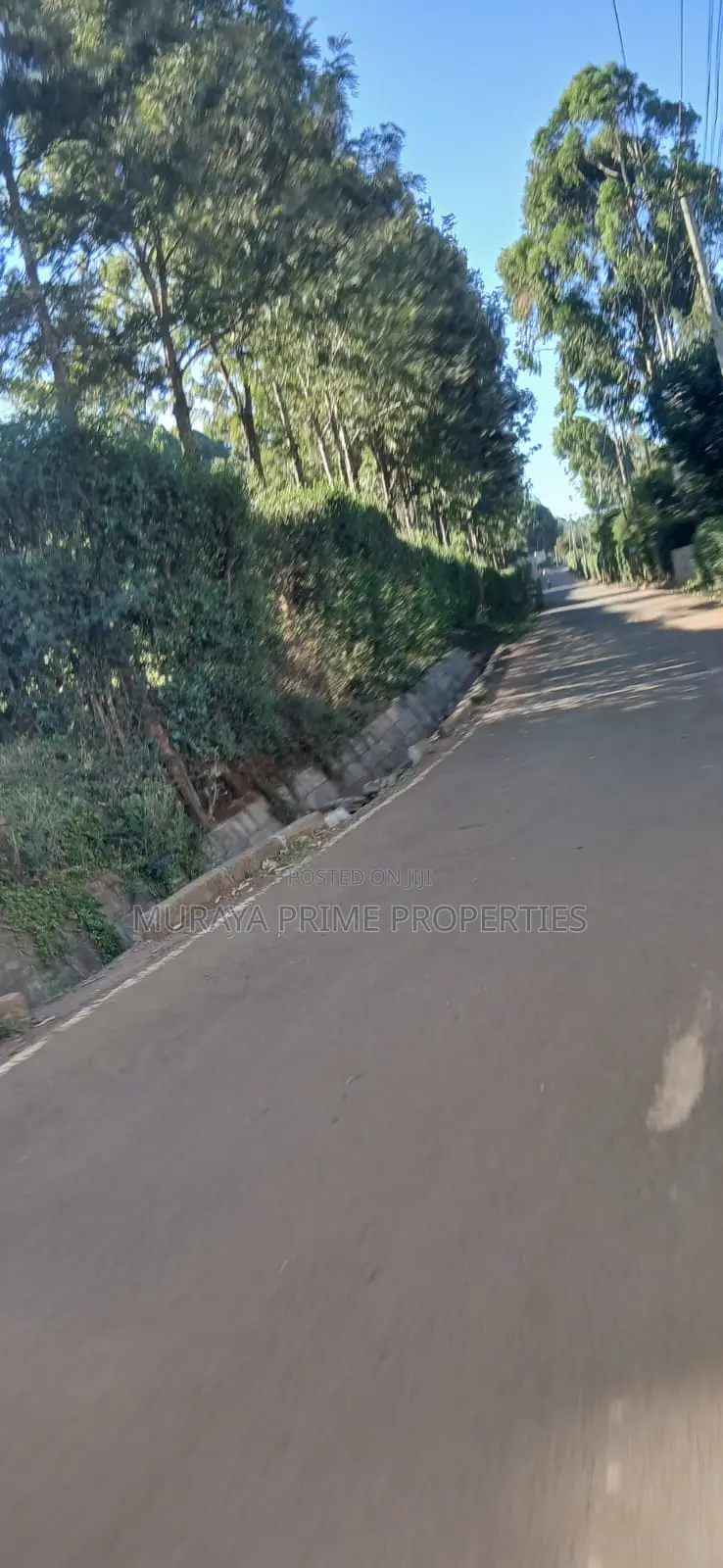 1⁄4-Acre Prime Plot for Sale – Kerarapon Drive in Kerarapon