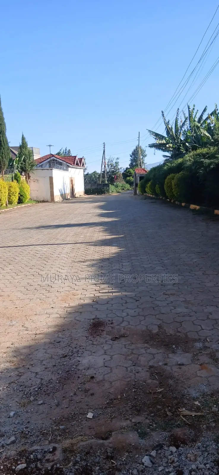 1⁄4-Acre Prime Plot for Sale – Kerarapon Drive in Kerarapon