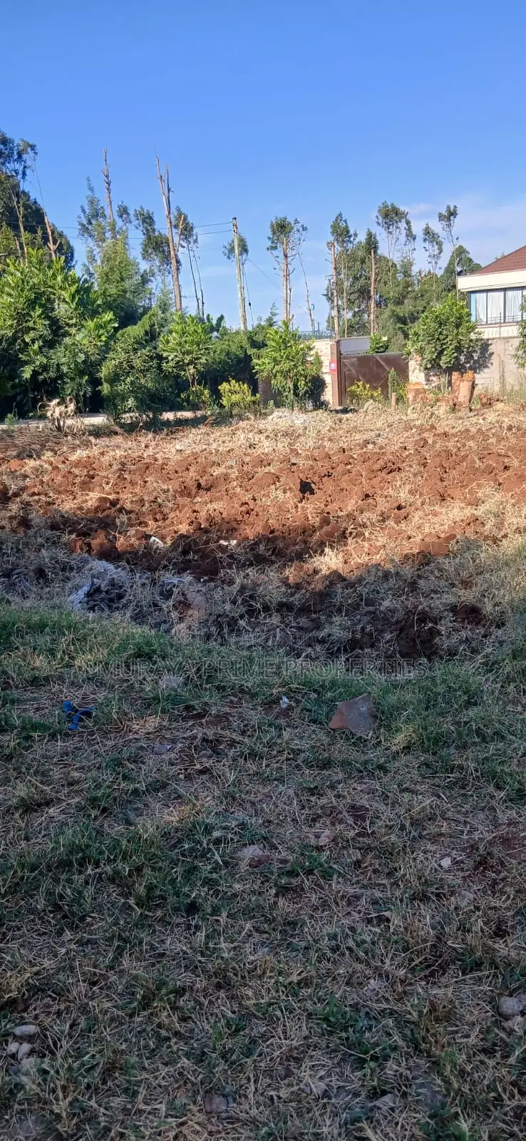 1⁄4-Acre Prime Plot for Sale – Kerarapon Drive in Kerarapon