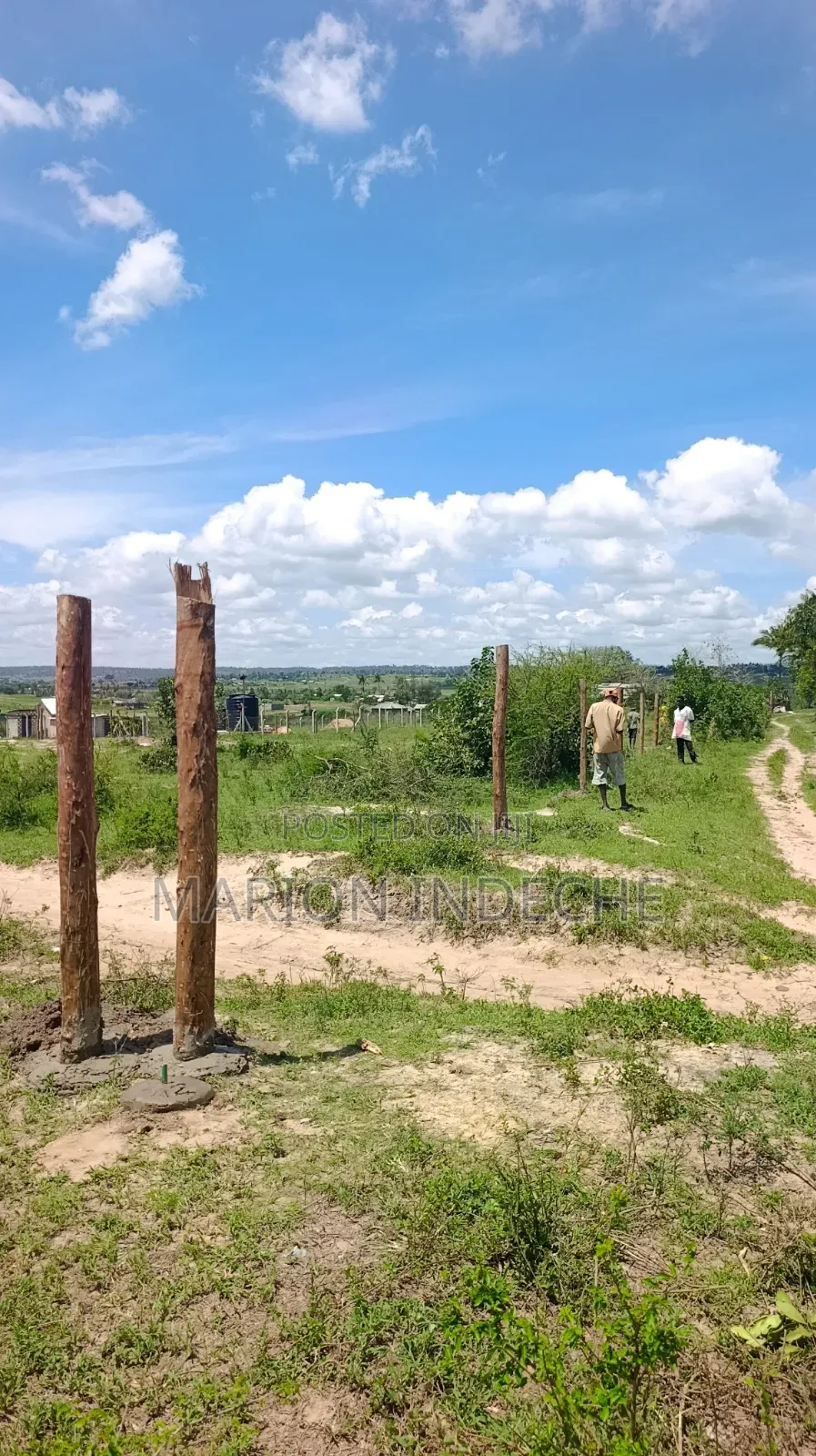 Mariakani 50x100ft Plots for Sale in Mariakani