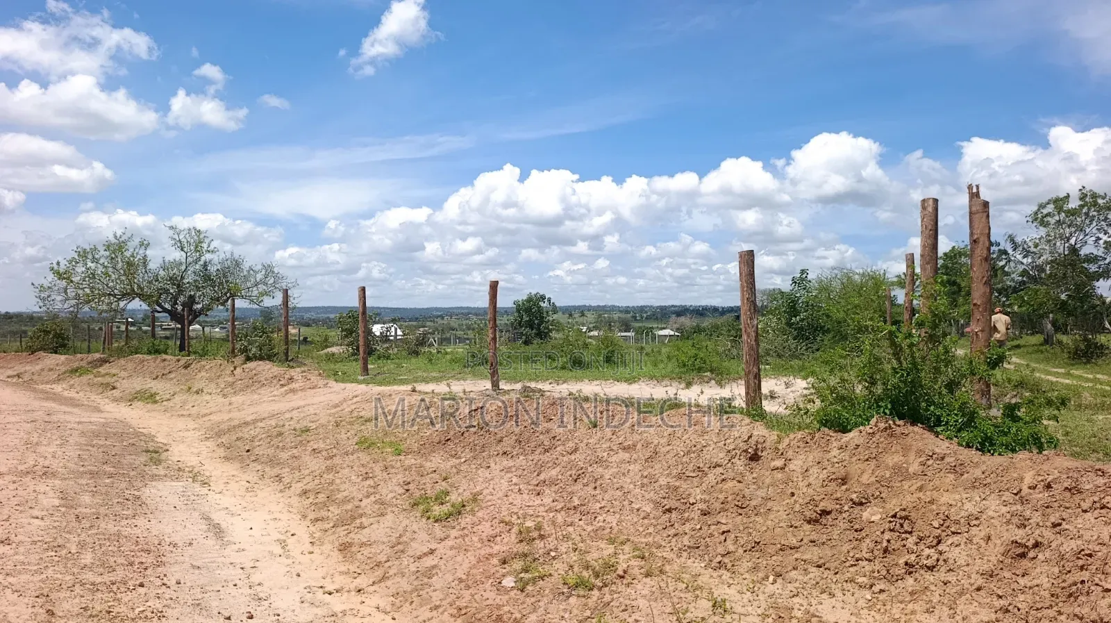 Mariakani 50x100ft Plots for Sale in Mariakani