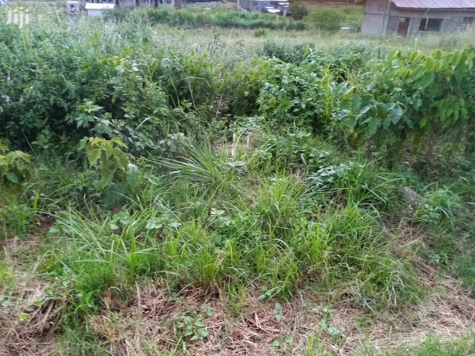. Membley Plots: Build Your Dream Home Today in Membley Estate