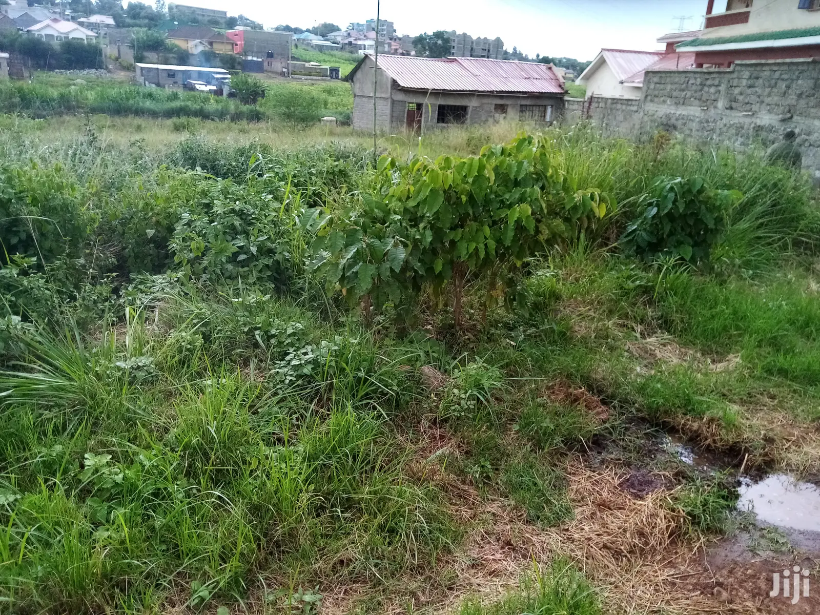 . Membley Plots: Build Your Dream Home Today in Membley Estate