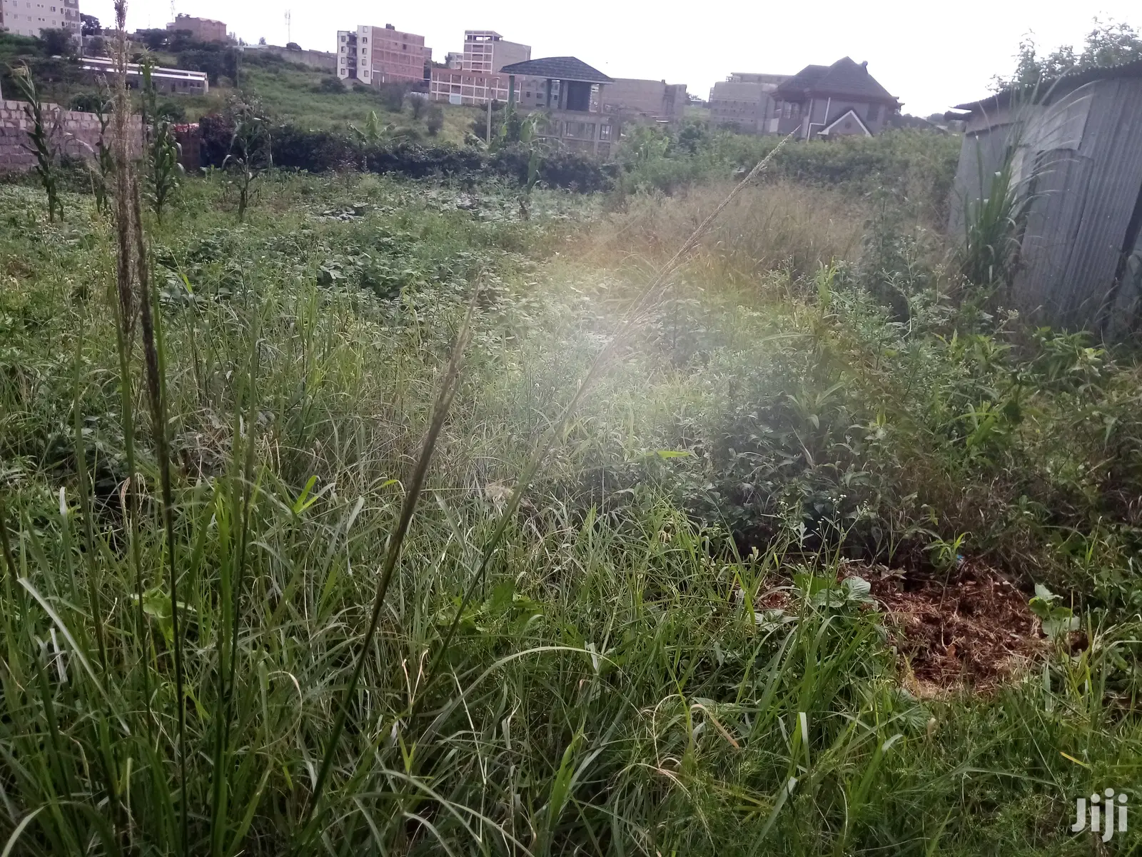 Prime Membely Lands for Sale: Discover Your Dream Property Today! in Membley Estate